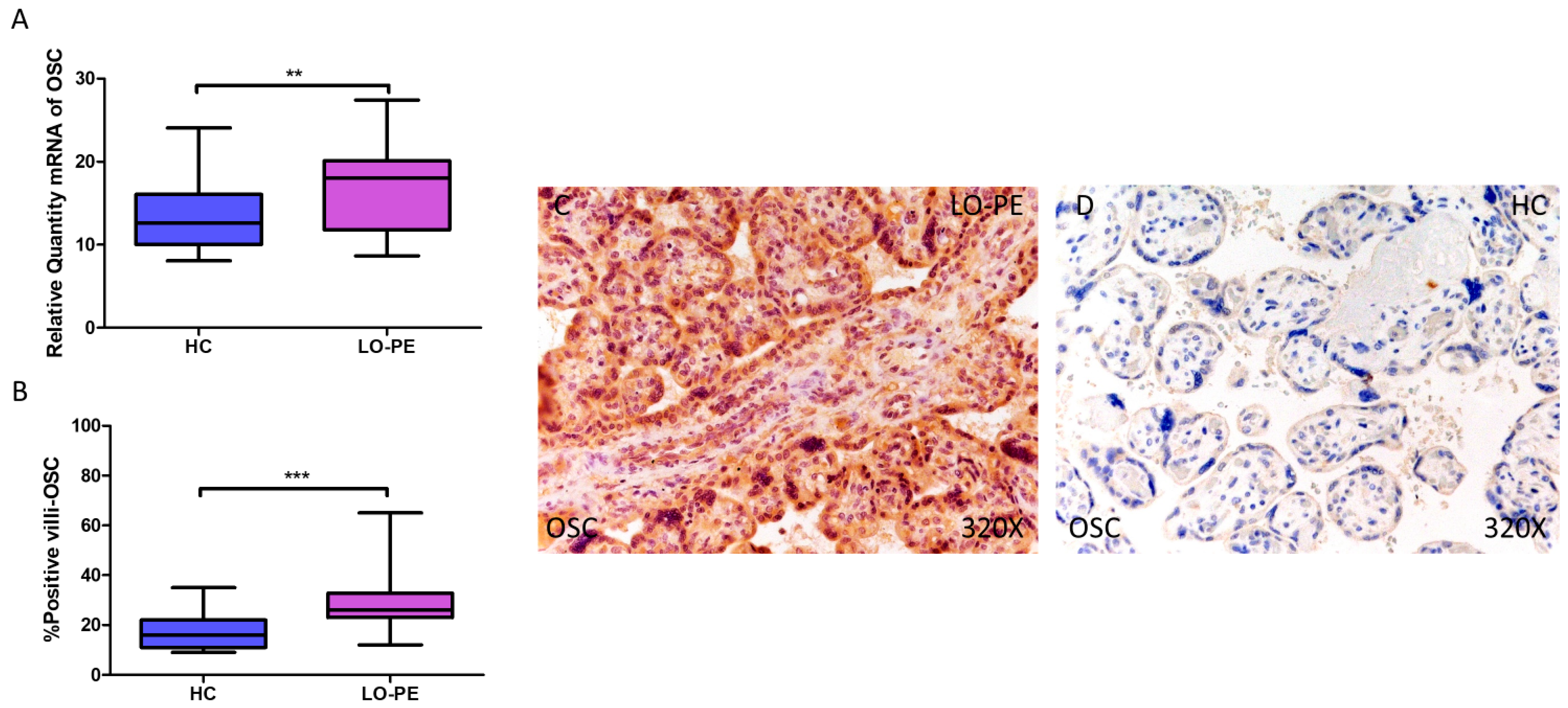 Biomolecules 14 01237 g003