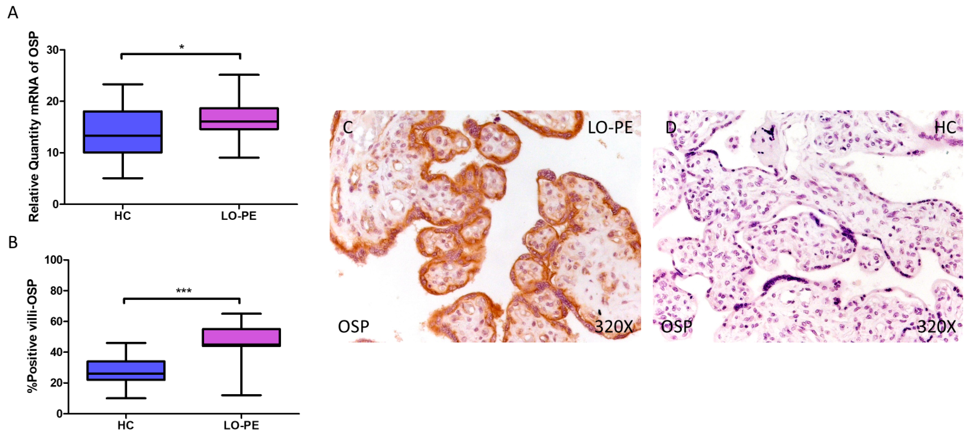 Biomolecules 14 01237 g004
