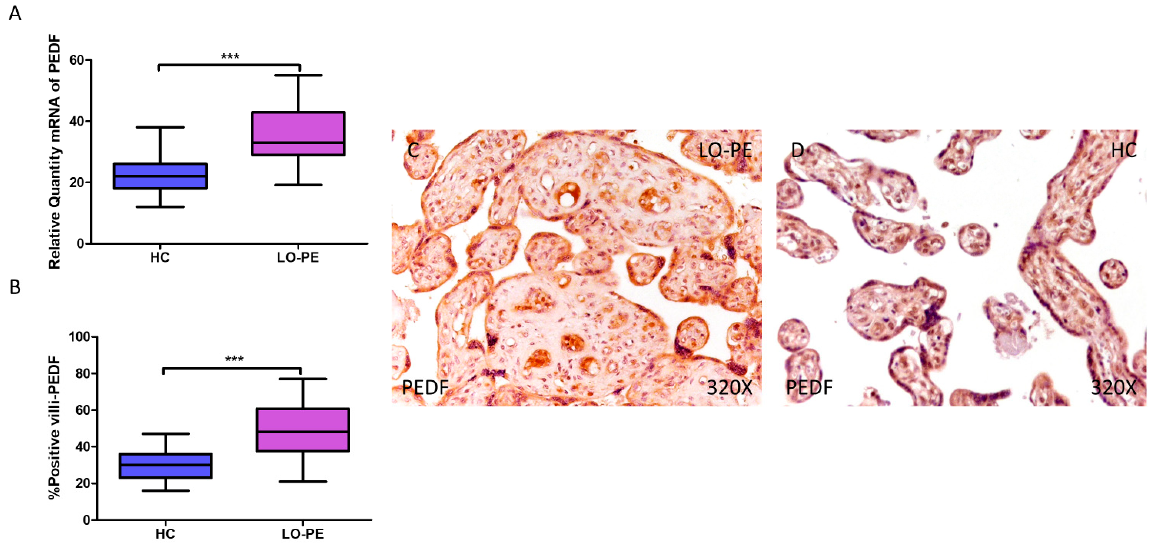 Biomolecules 14 01237 g005