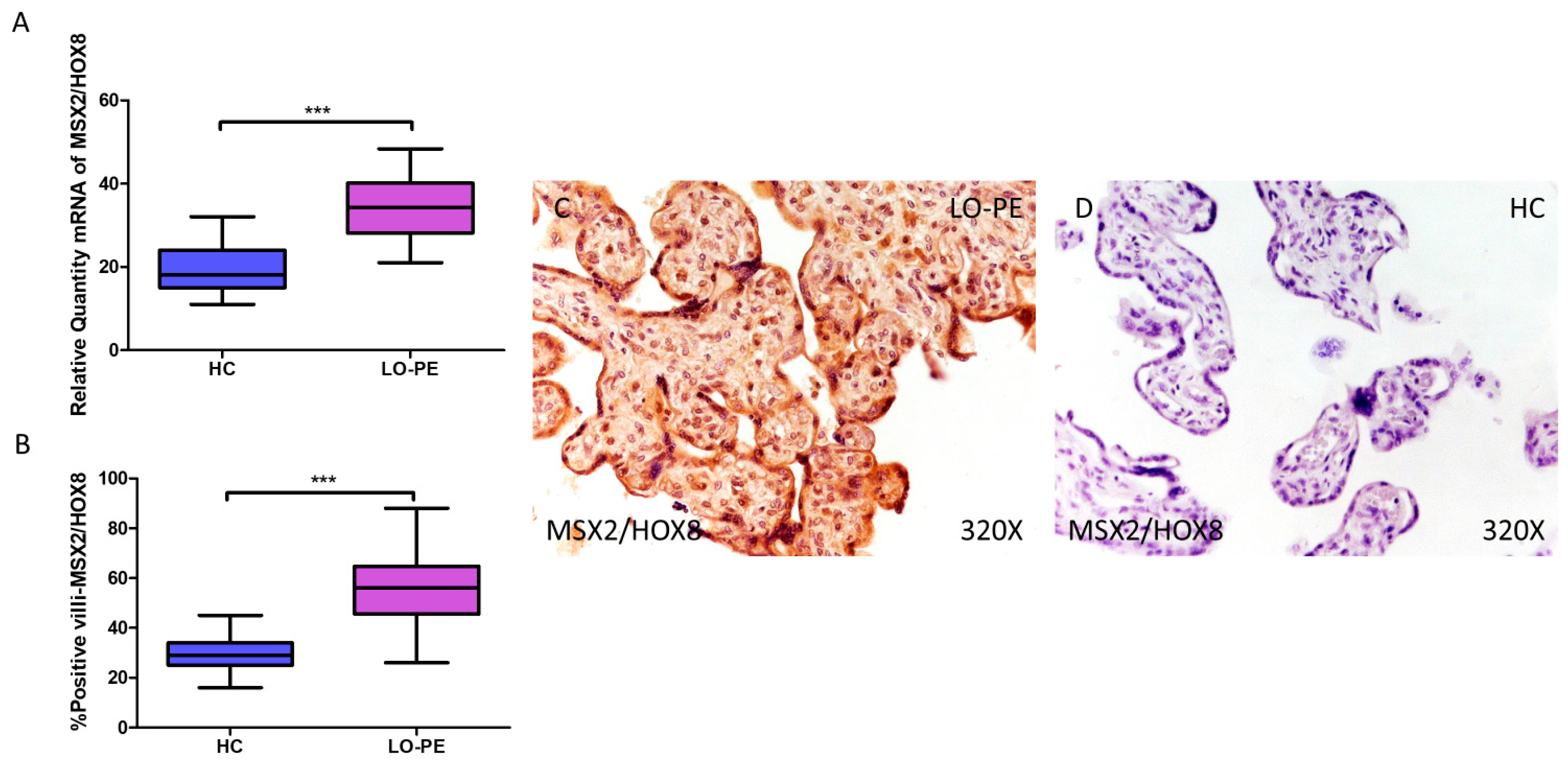 Biomolecules 14 01237 g006