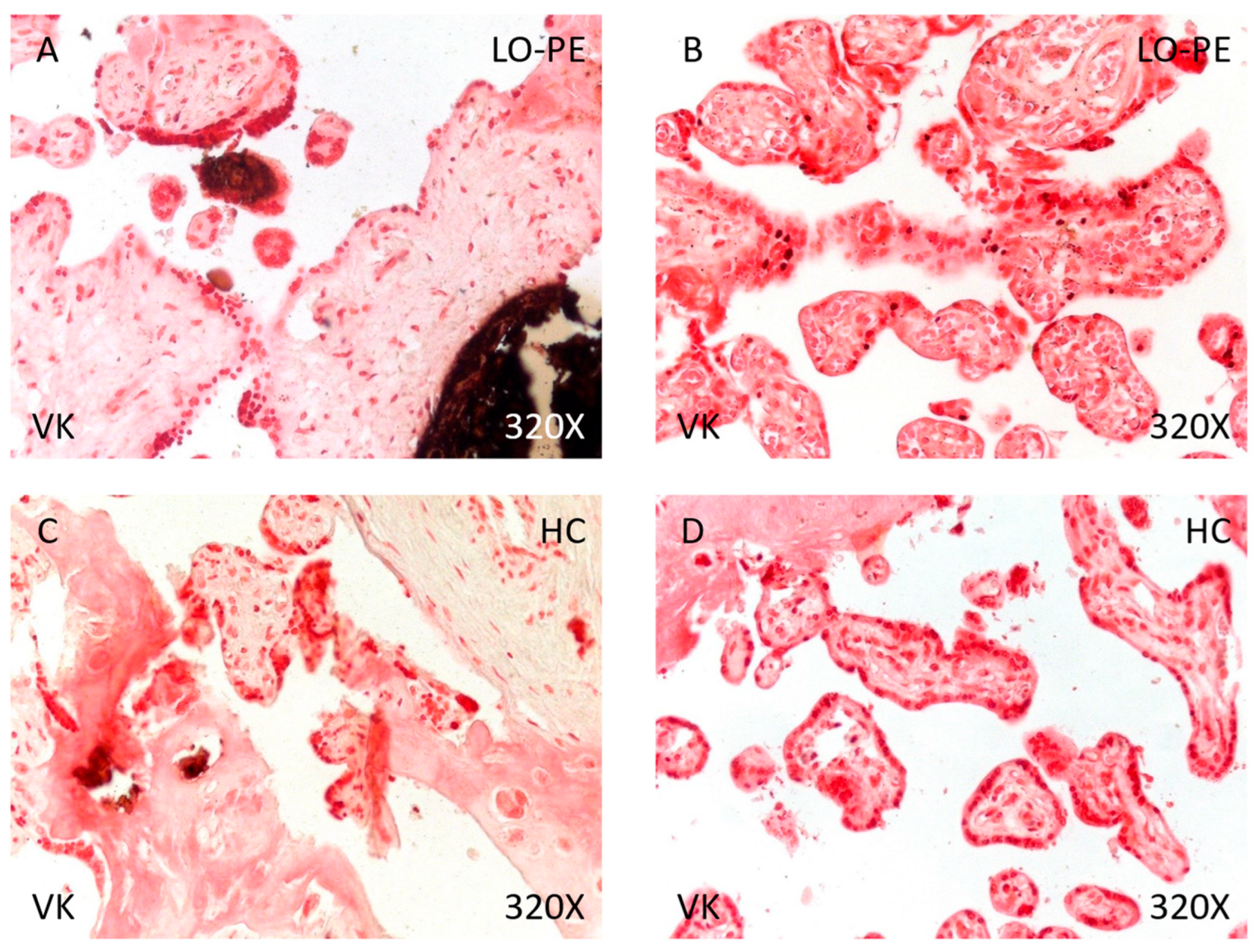 Biomolecules 14 01237 g010