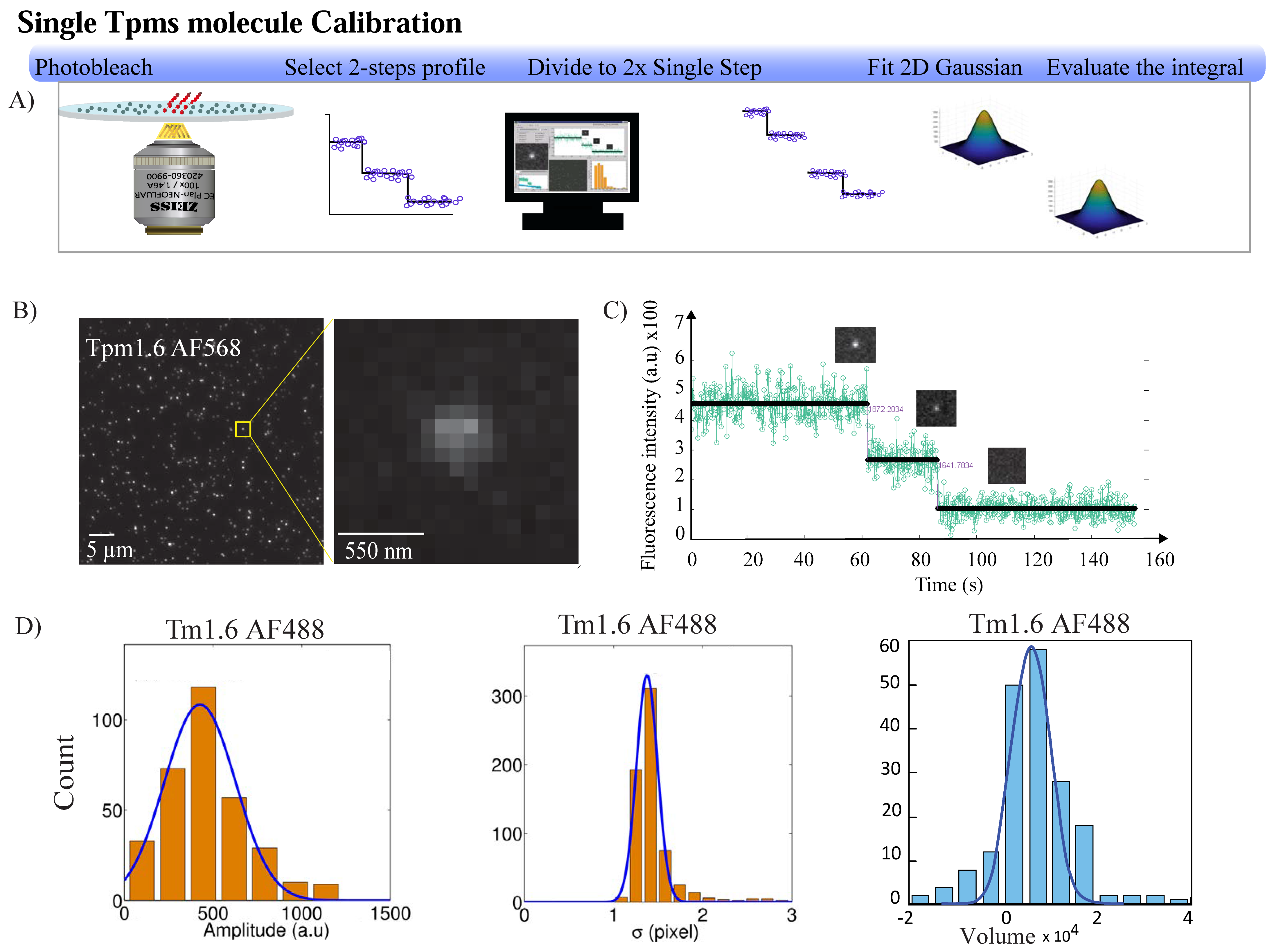 Biomolecules 14 01240 g002 Biomolecules 14 01240 g002