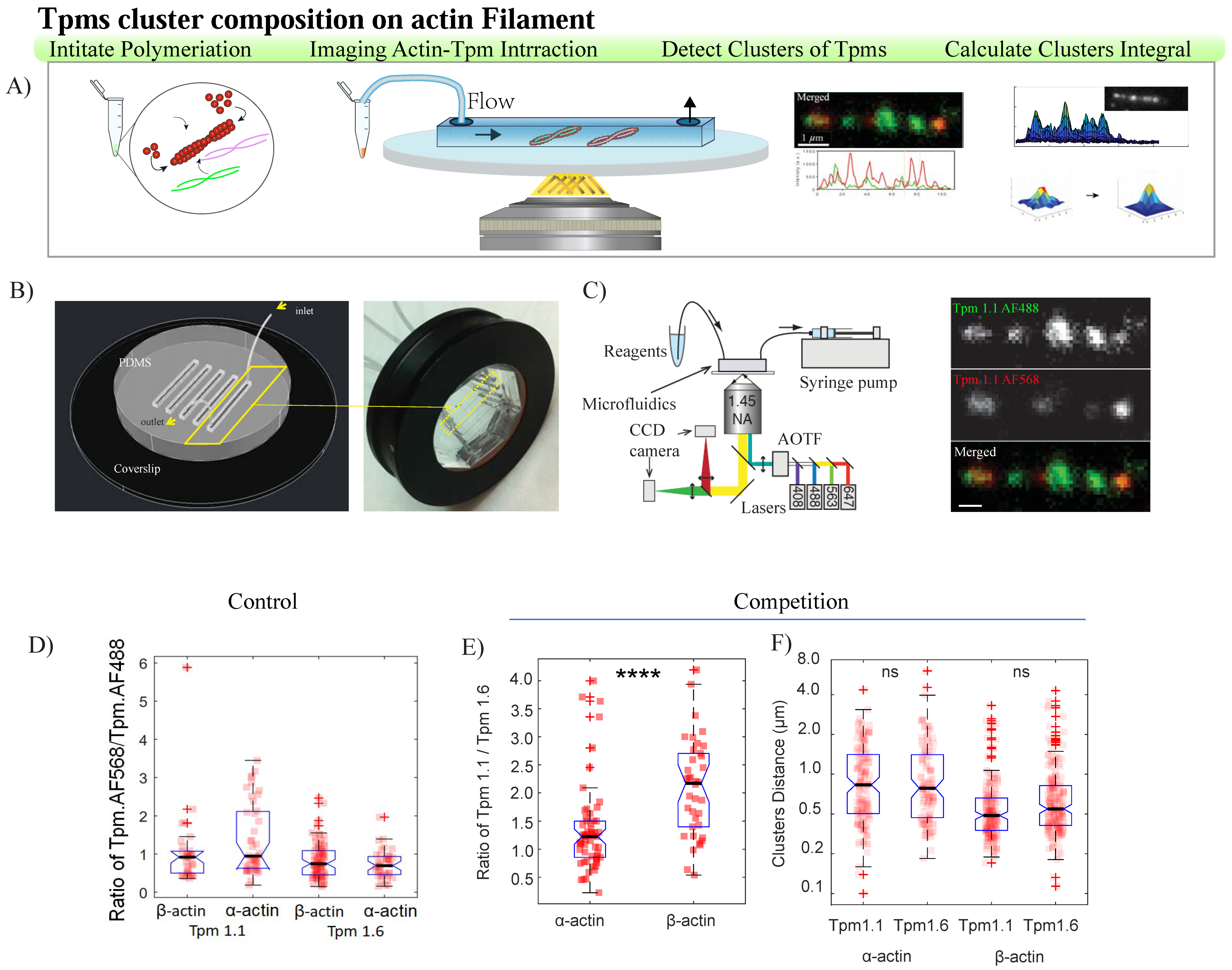 Biomolecules 14 01240 g003 Biomolecules 14 01240 g003