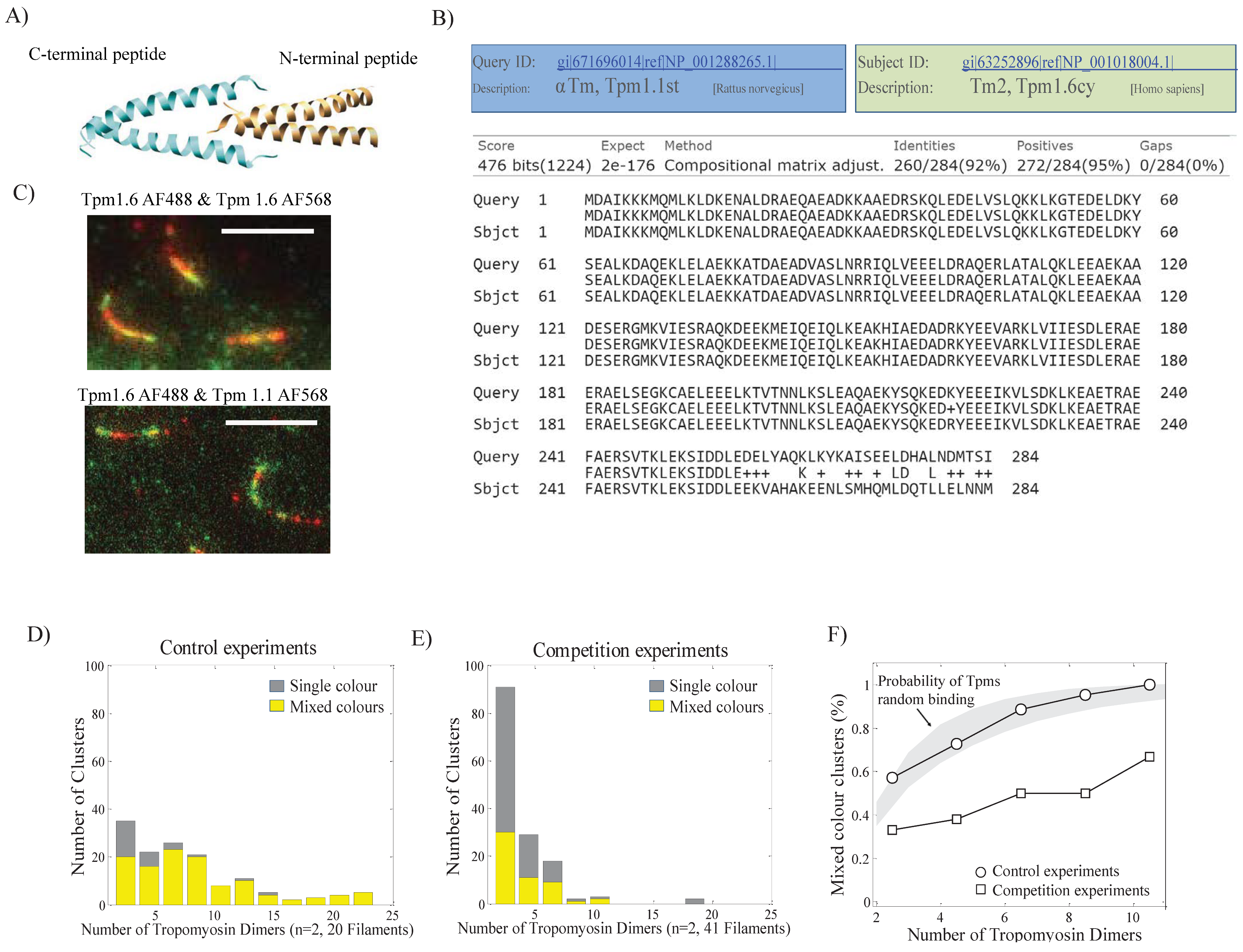 Biomolecules 14 01240 g004 Biomolecules 14 01240 g004