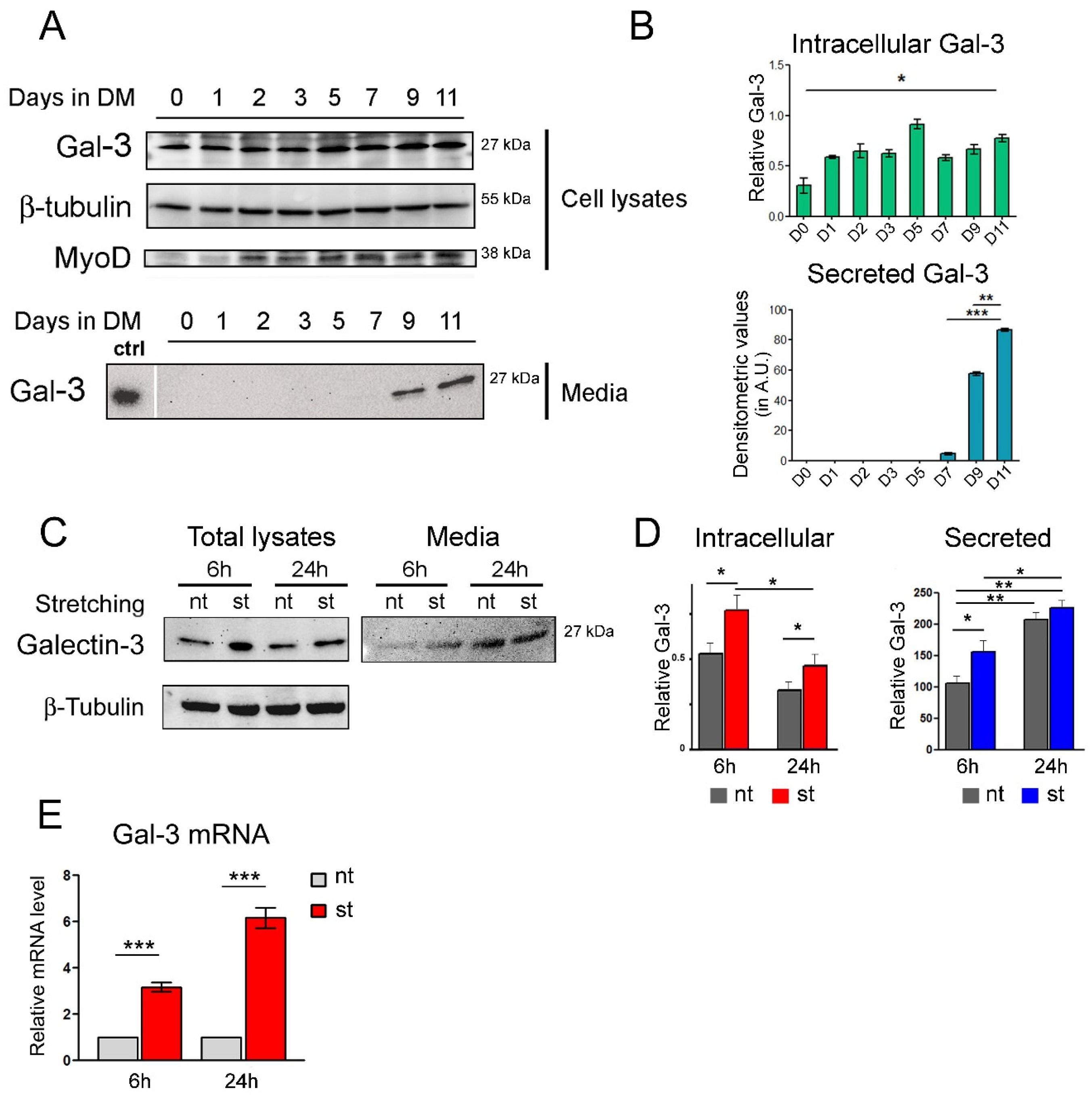 Biomolecules 14 01243 g001 Biomolecules 14 01243 g001