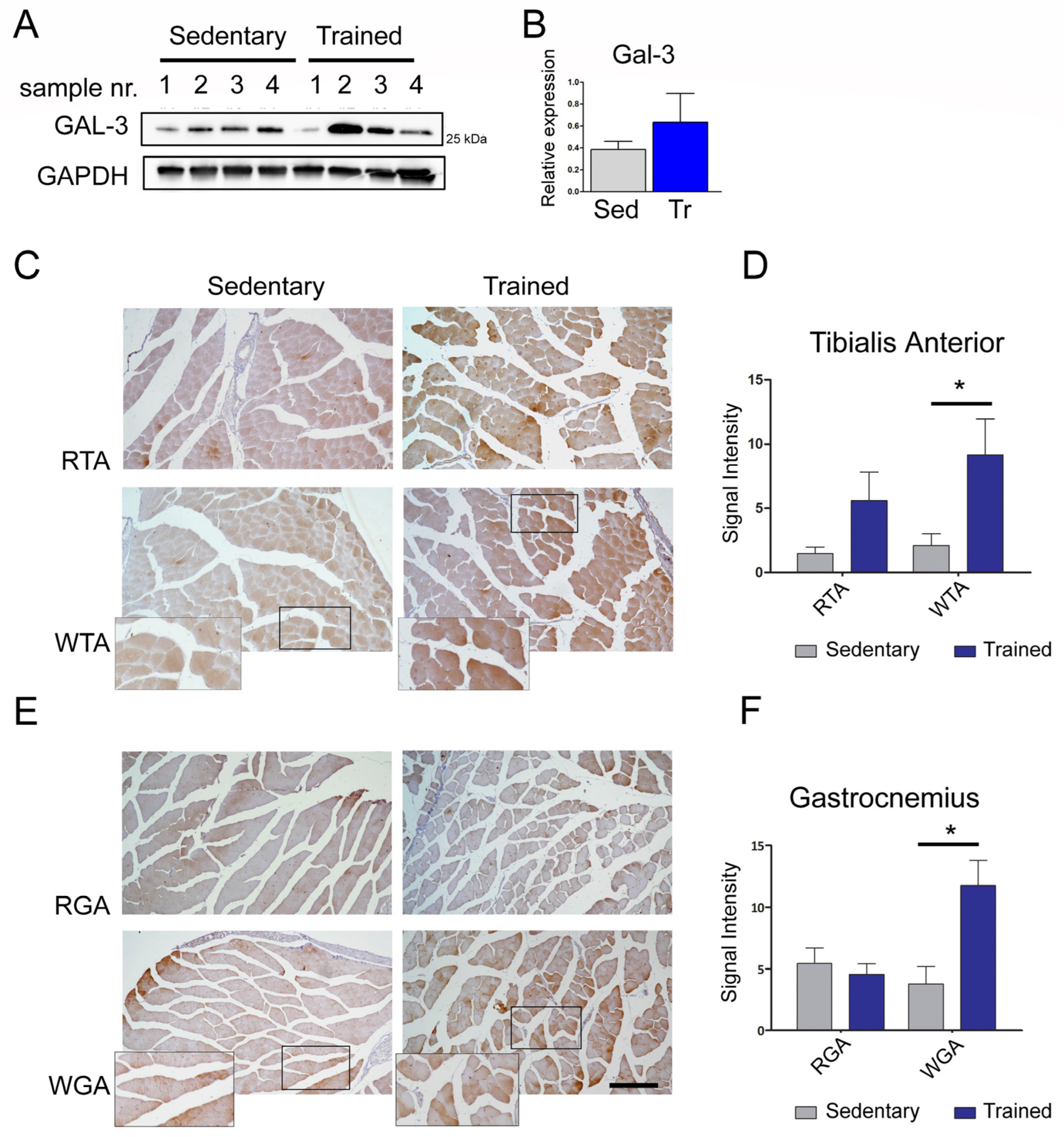 Biomolecules 14 01243 g002 Biomolecules 14 01243 g002