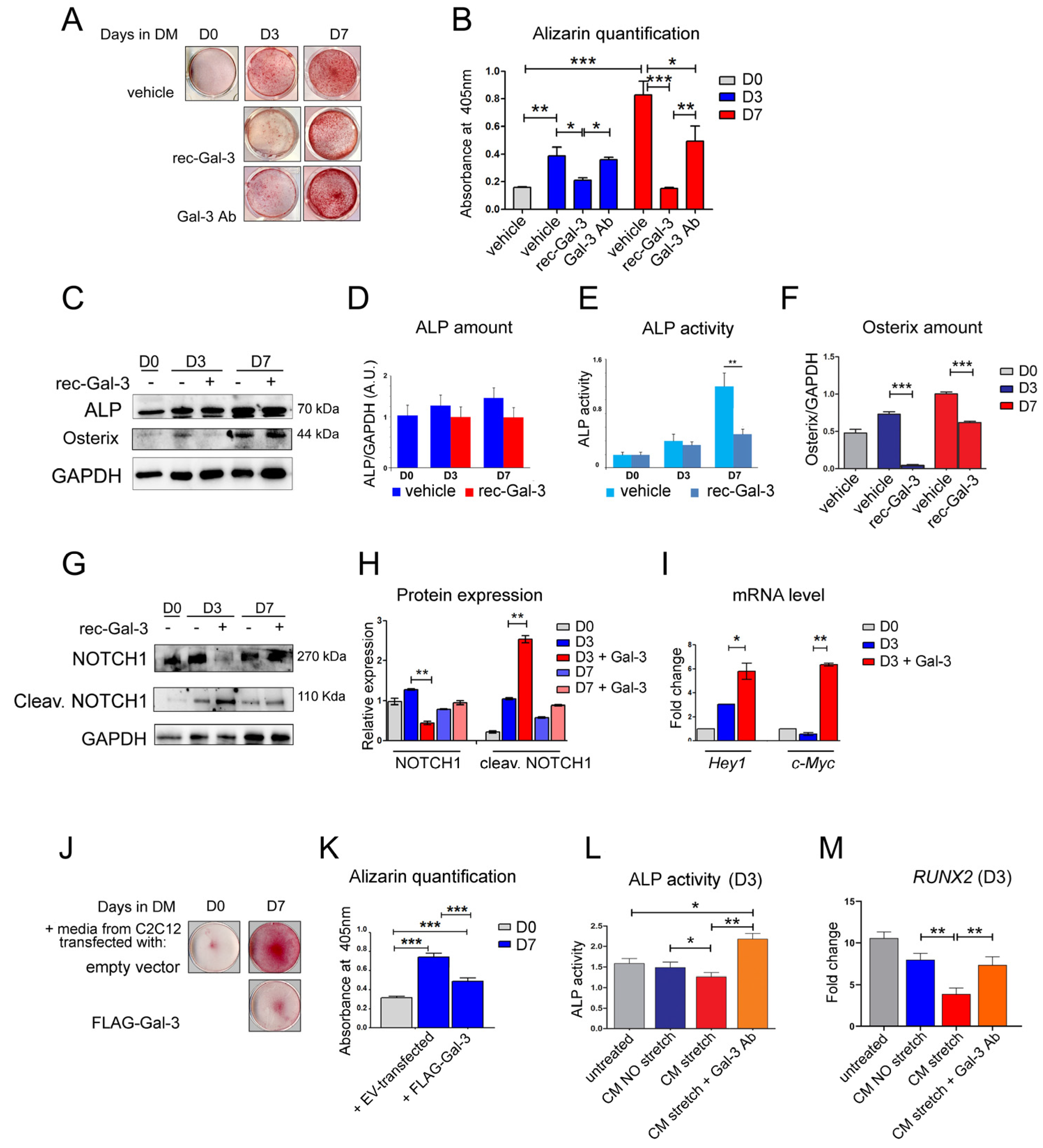 Biomolecules 14 01243 g003 Biomolecules 14 01243 g003