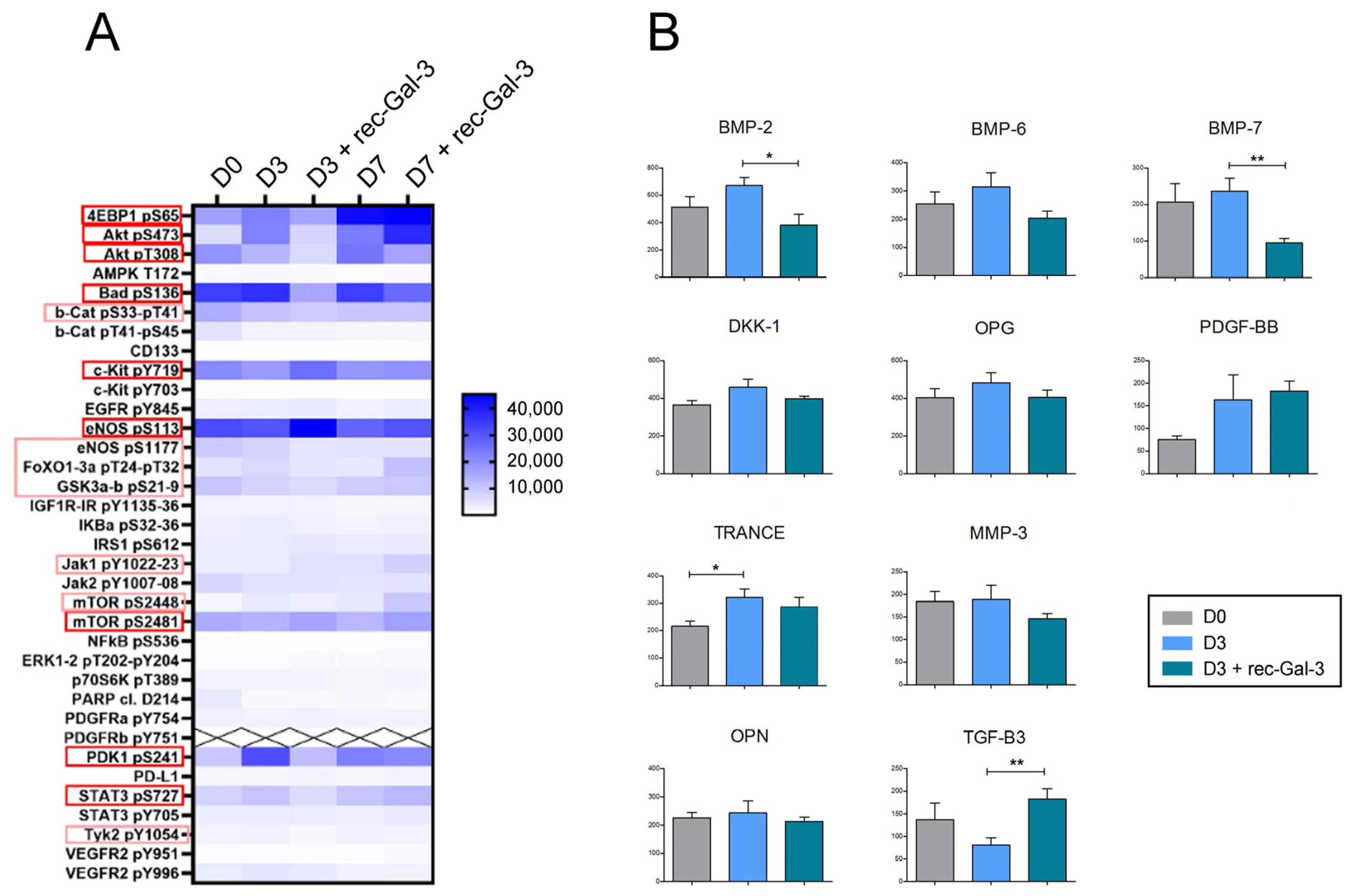 Biomolecules 14 01243 g005 Biomolecules 14 01243 g005