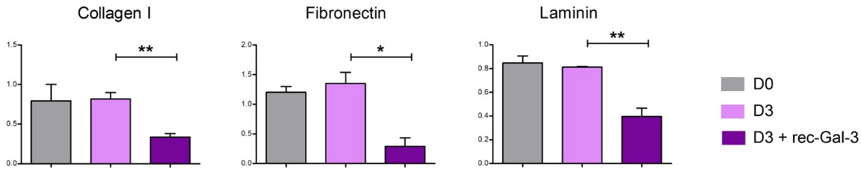 Biomolecules 14 01243 g006 Biomolecules 14 01243 g006