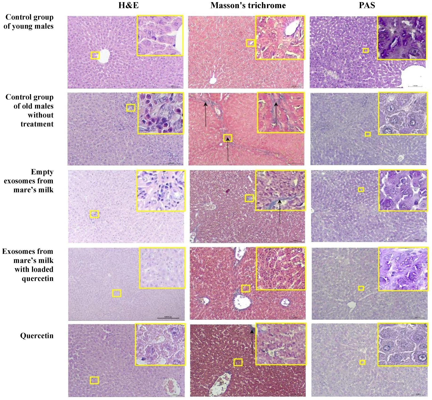 Biomolecules 14 01247 g009