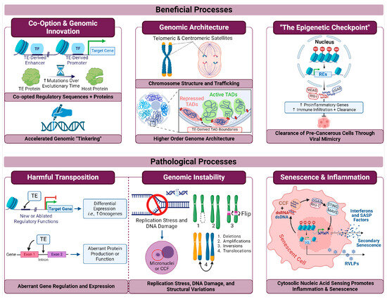 Biomolecules 14 01250 g002
