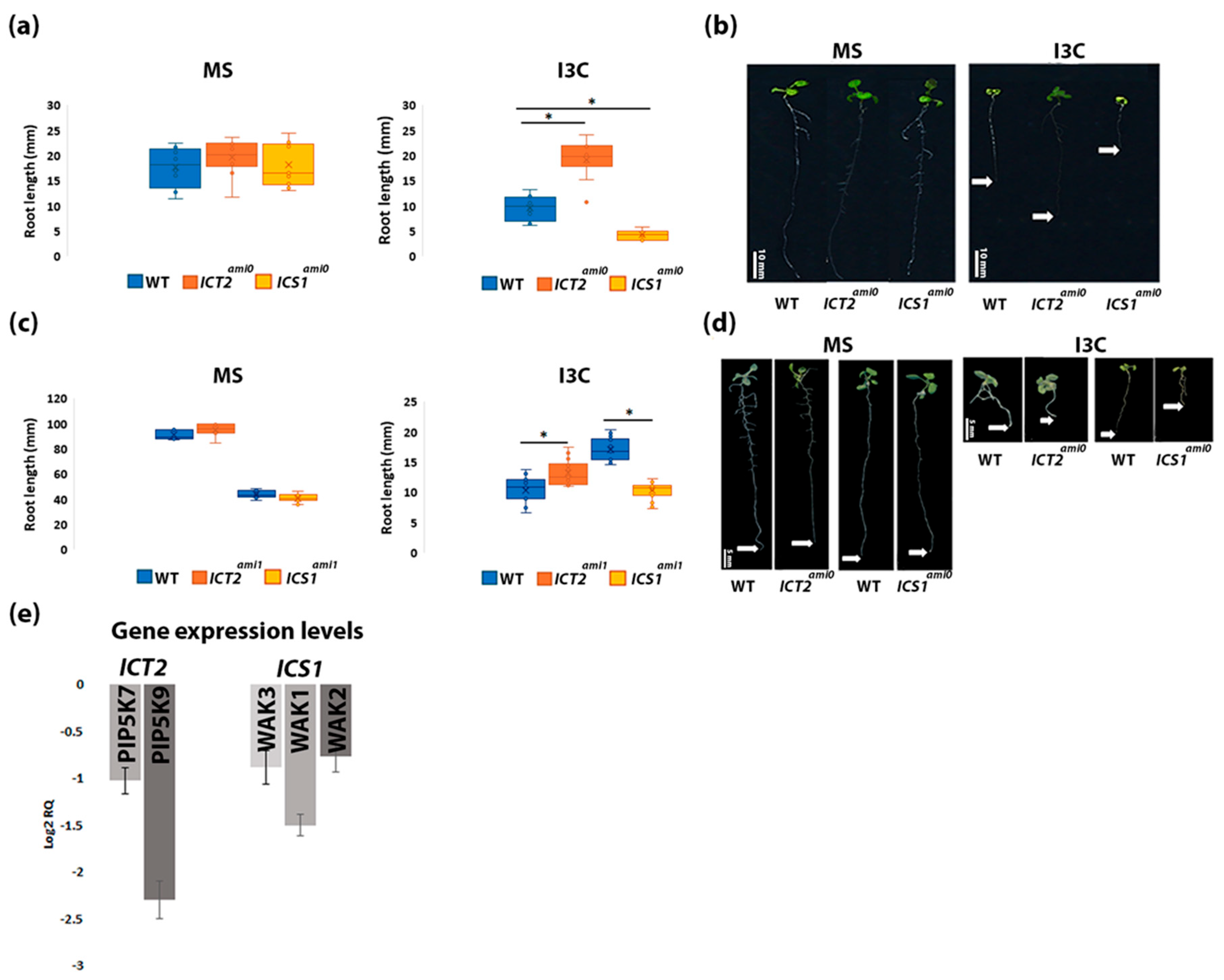 Biomolecules 14 01253 g001