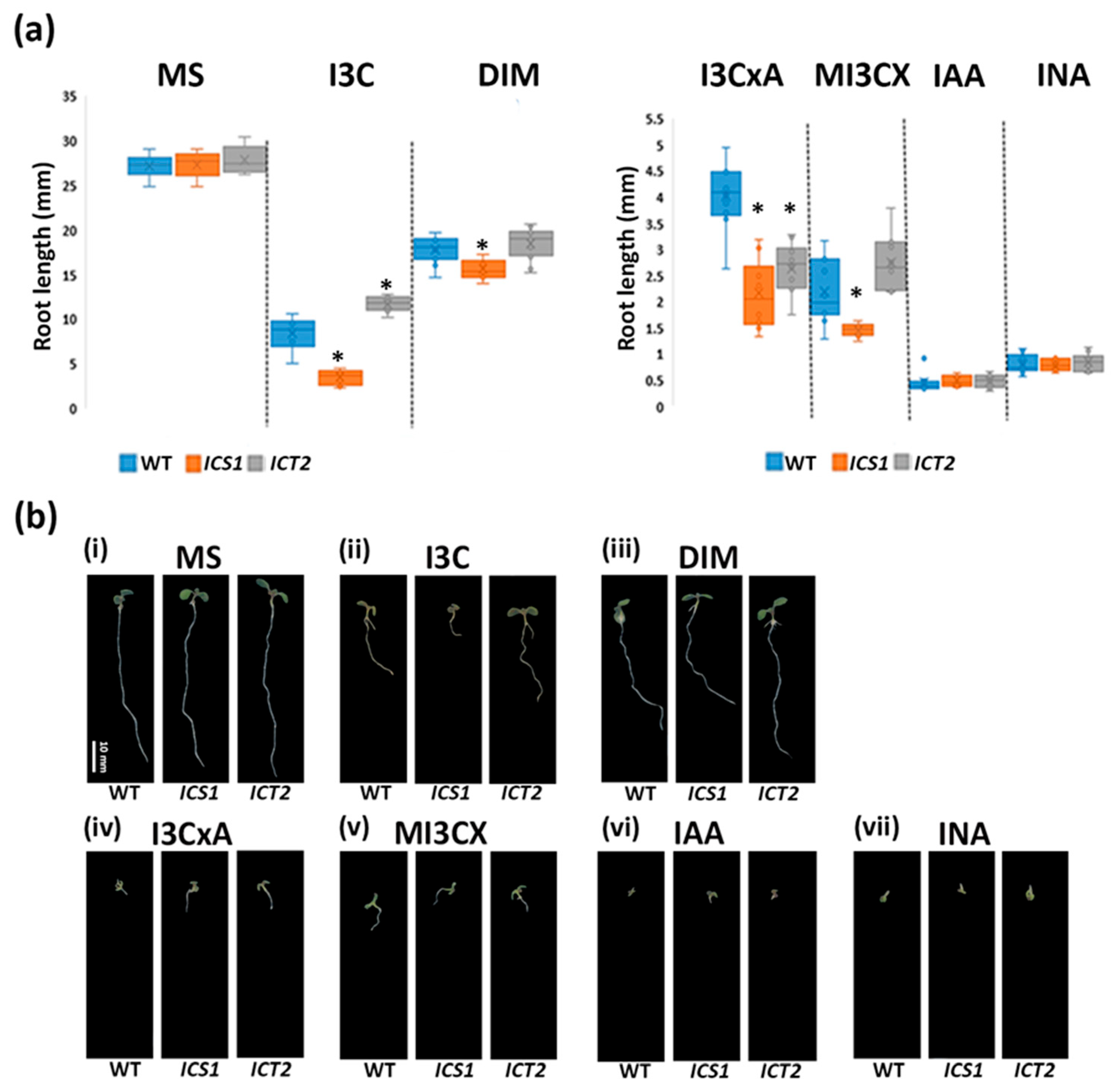Biomolecules 14 01253 g002