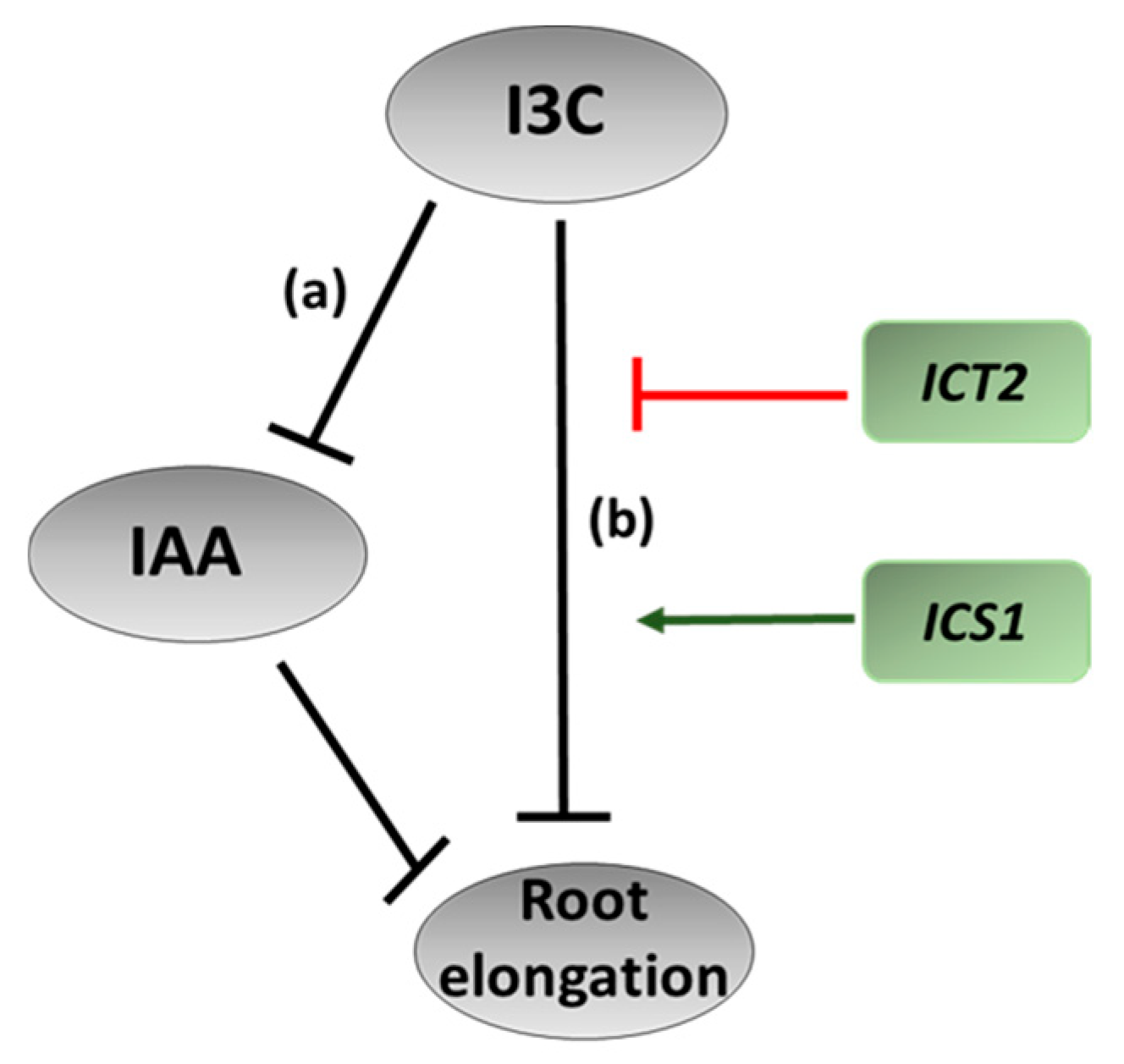 Biomolecules 14 01253 g004