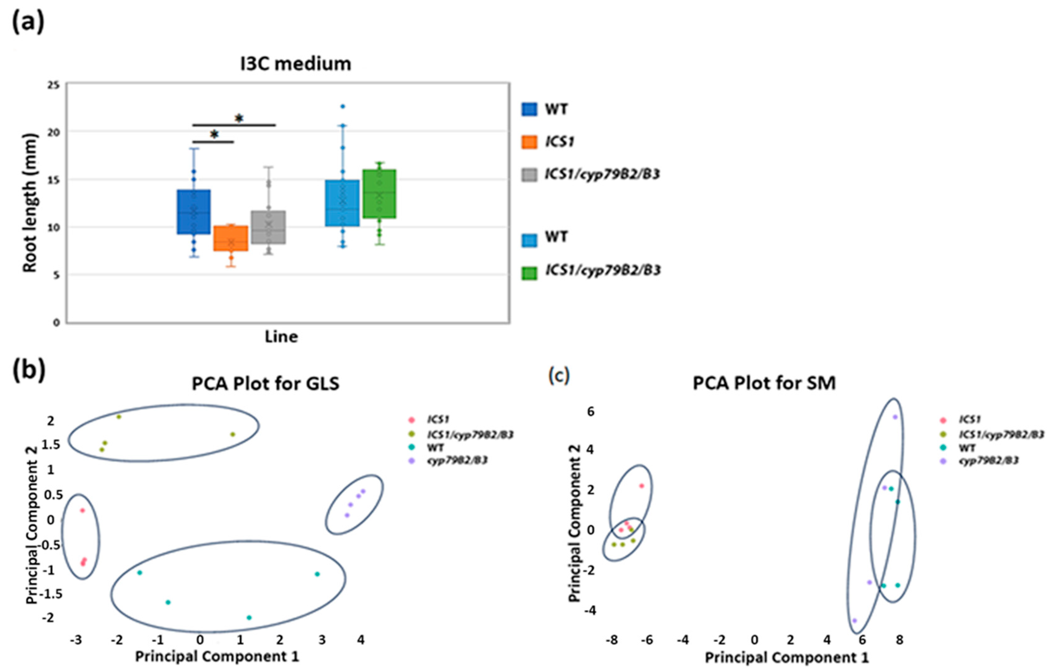 Biomolecules 14 01253 g006