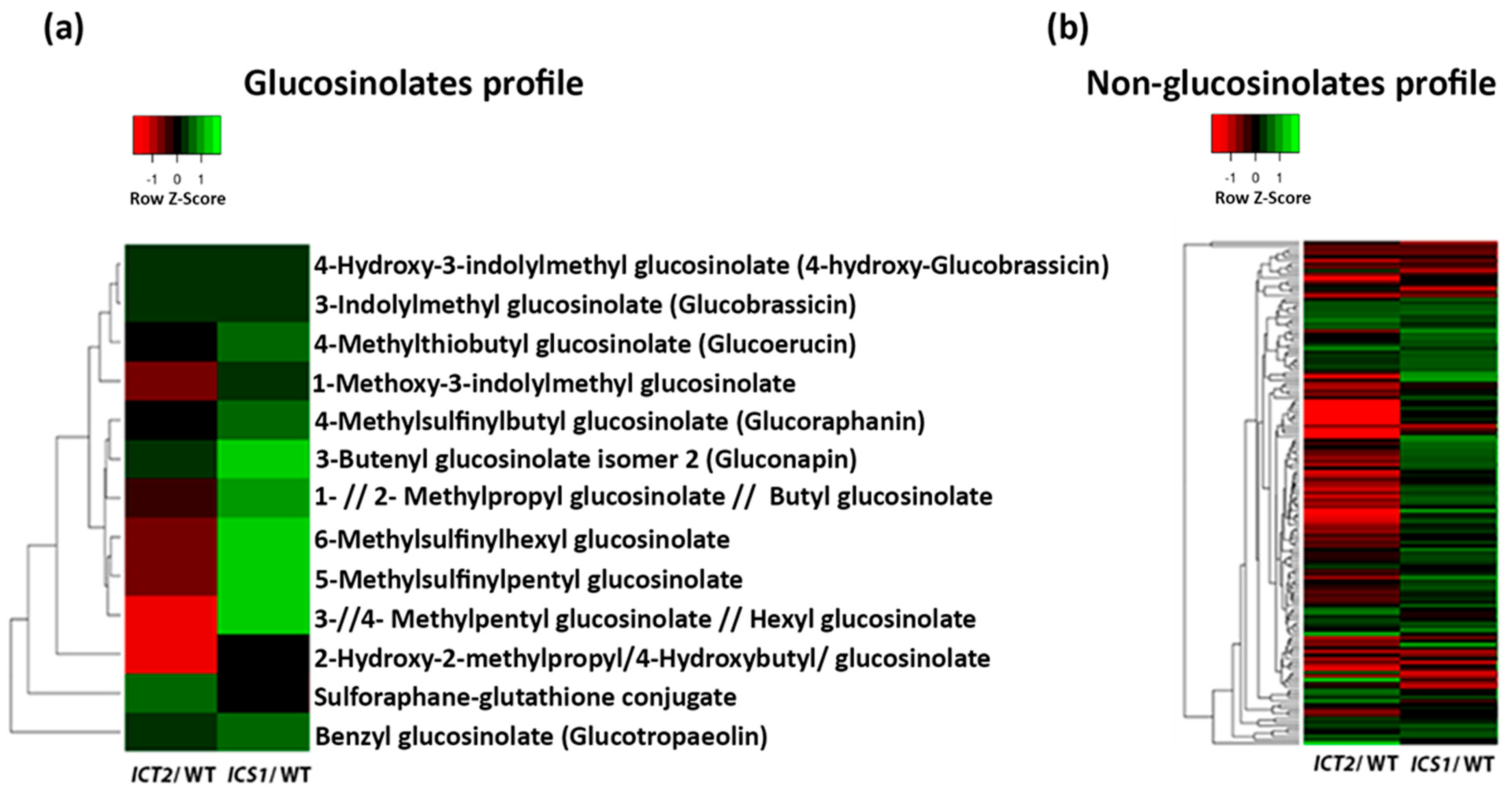 Biomolecules 14 01253 g007
