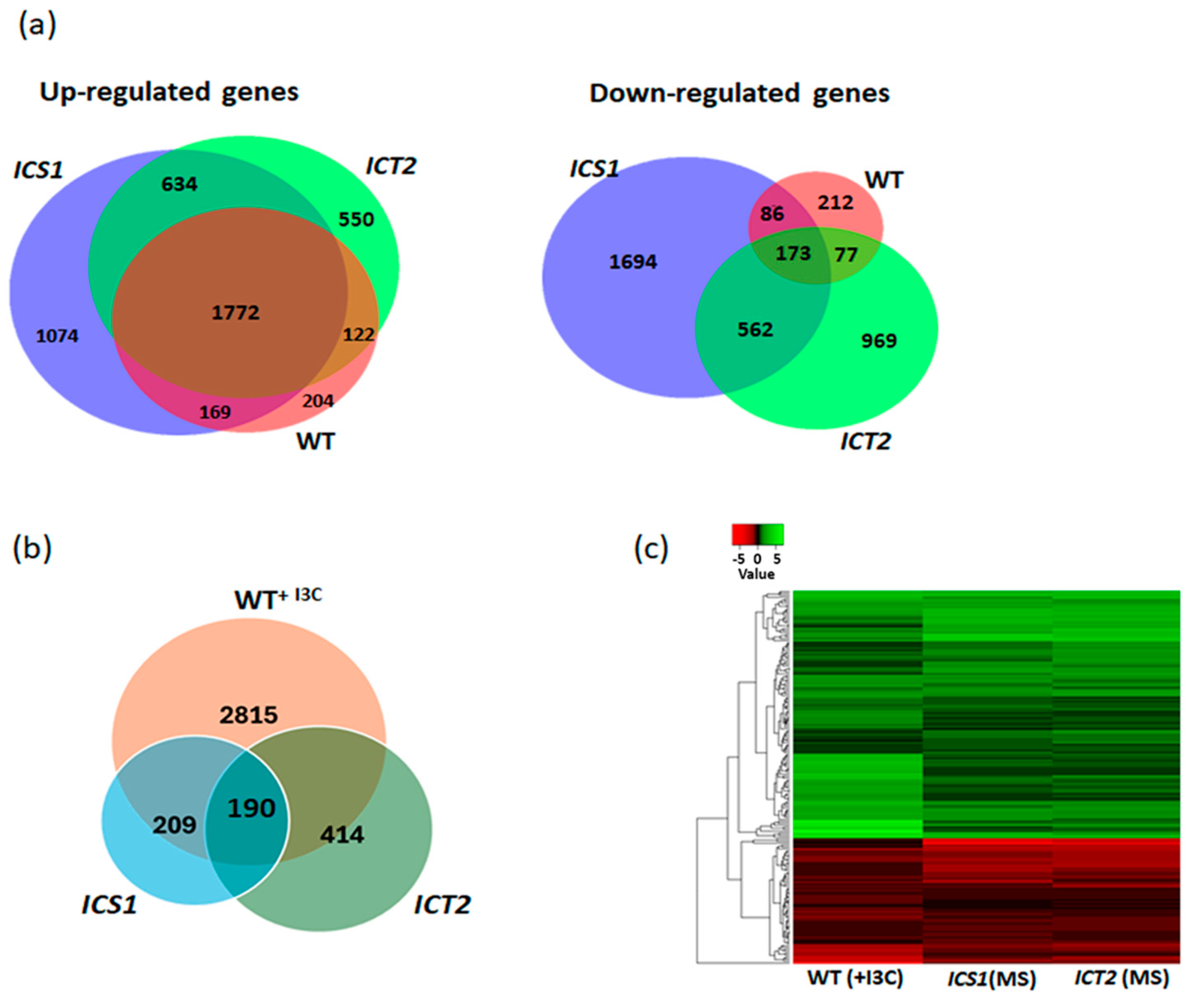 Biomolecules 14 01253 g008
