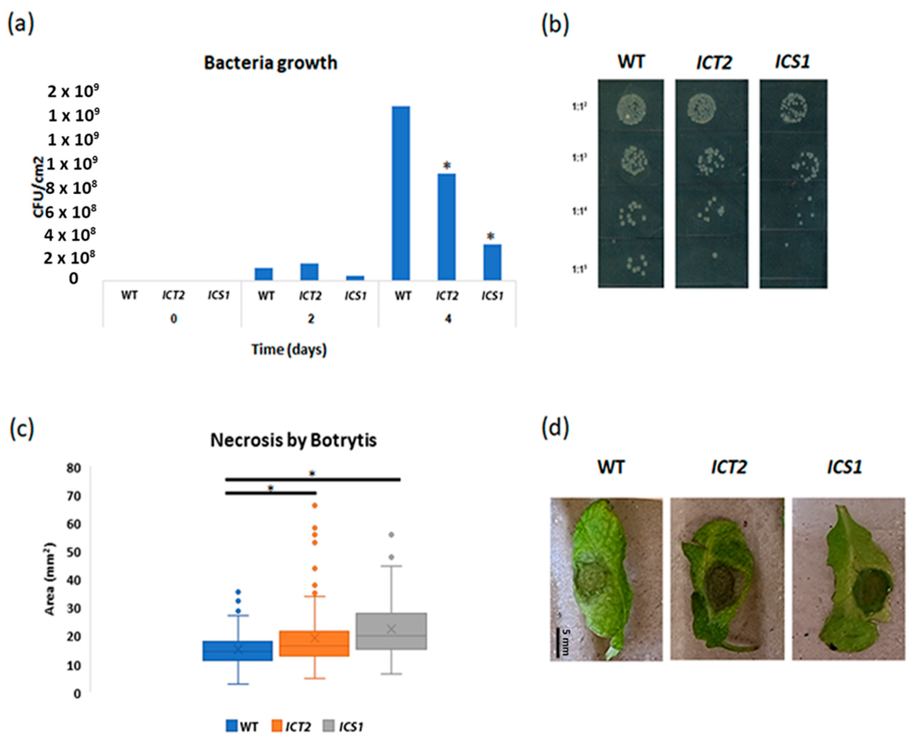 Biomolecules 14 01253 g010