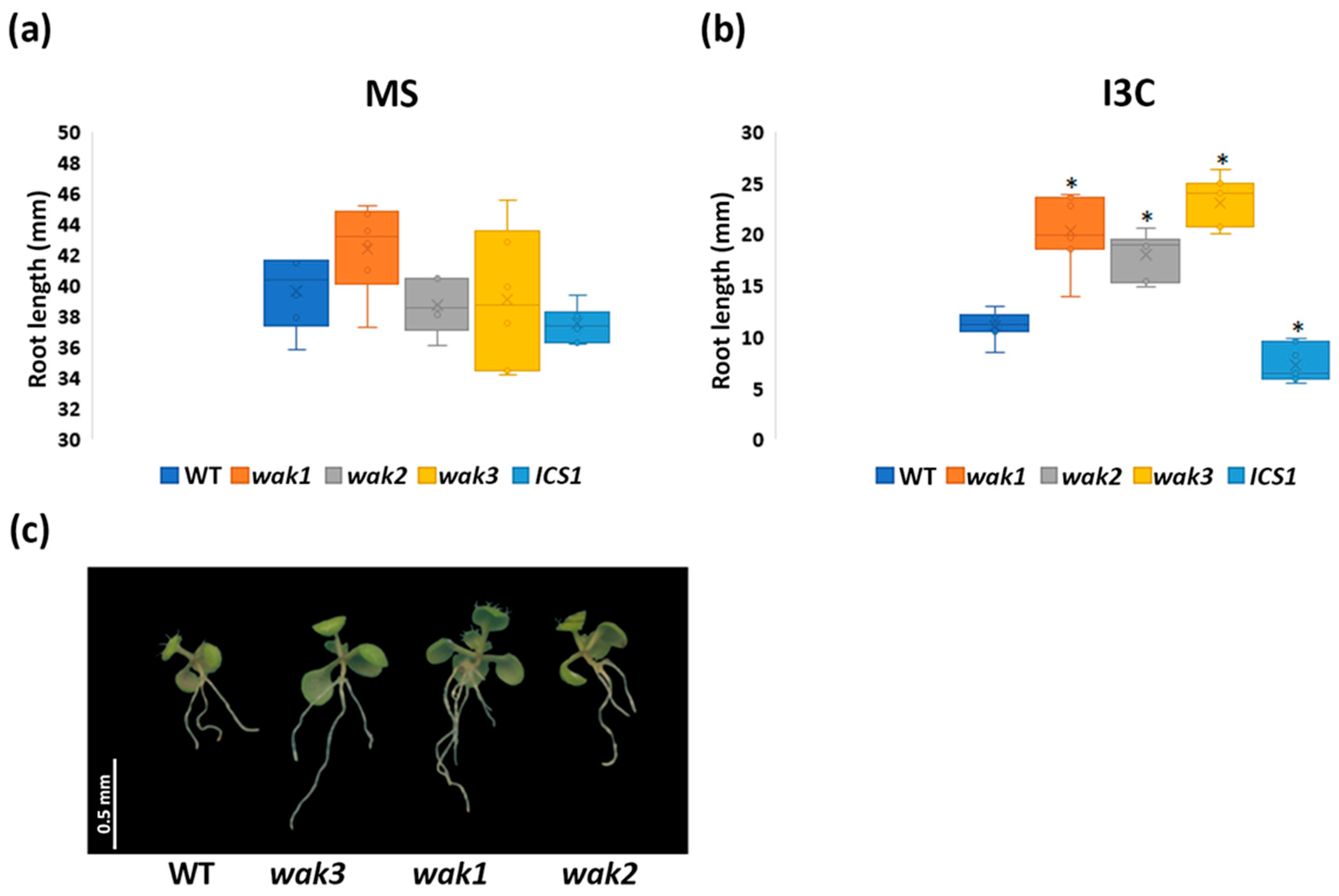 Biomolecules 14 01253 g011
