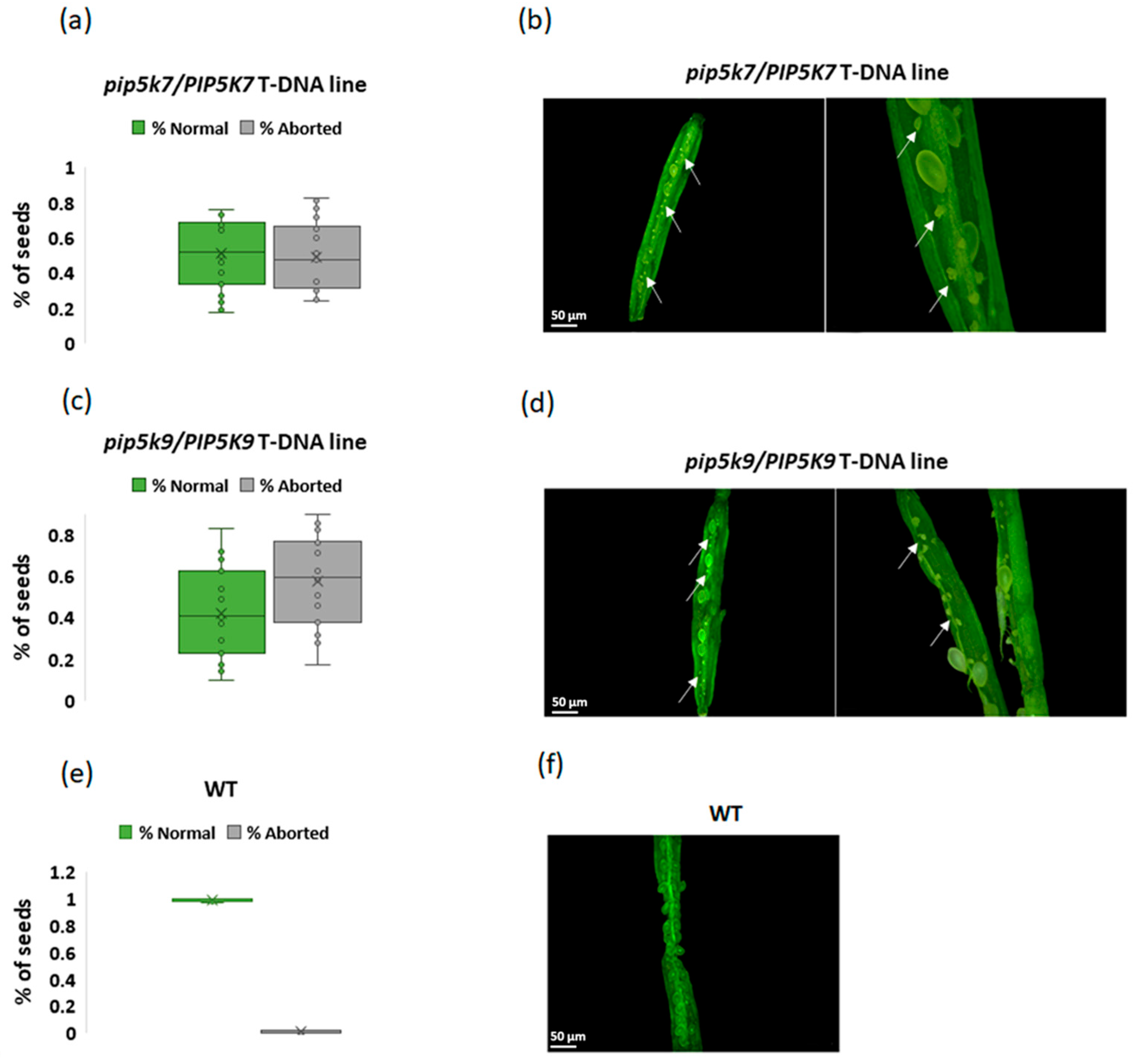 Biomolecules 14 01253 g012