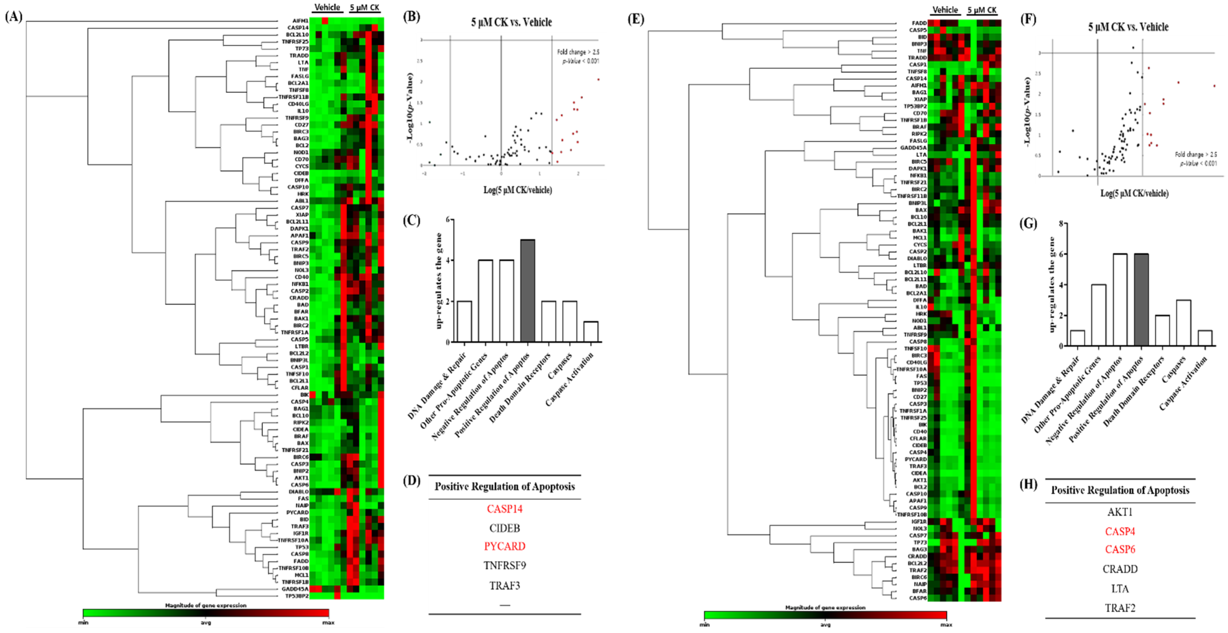 Biomolecules 14 01257 g005