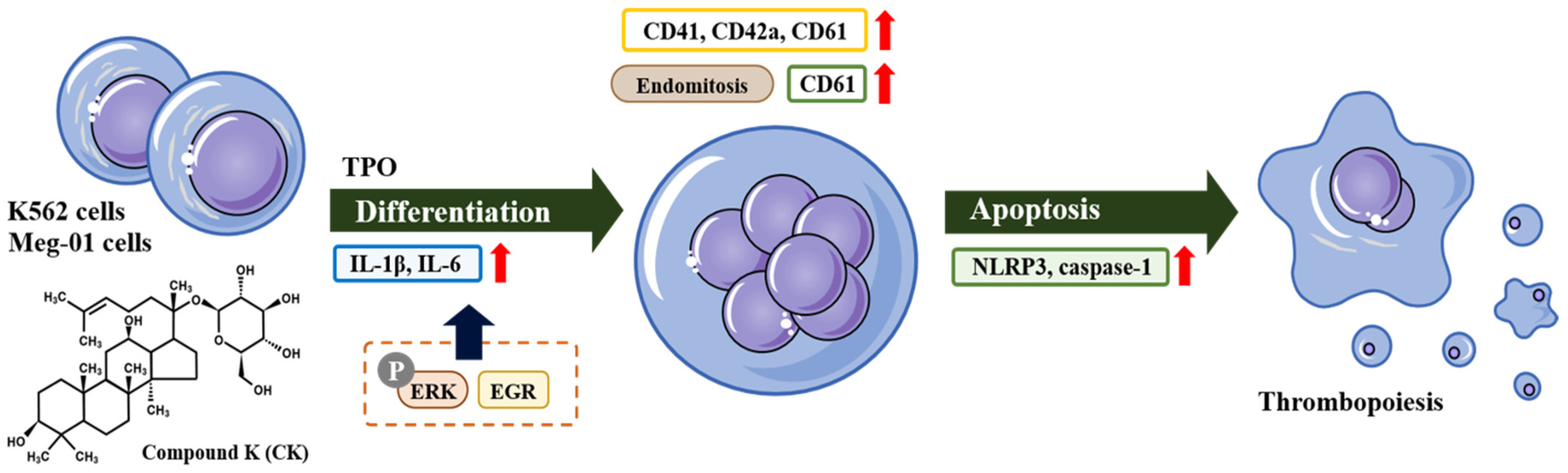 Biomolecules 14 01257 g007