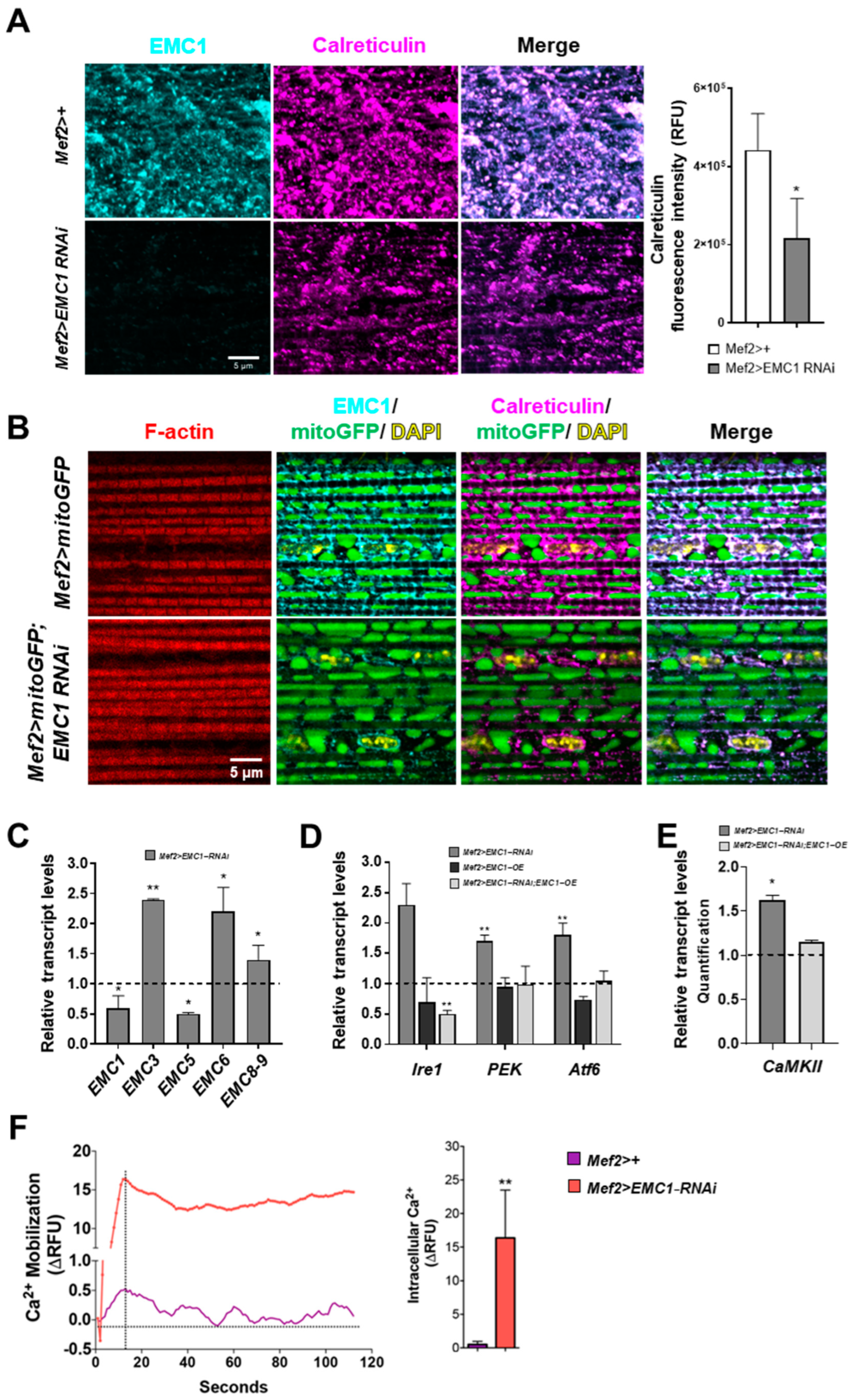 Biomolecules 14 01258 g003