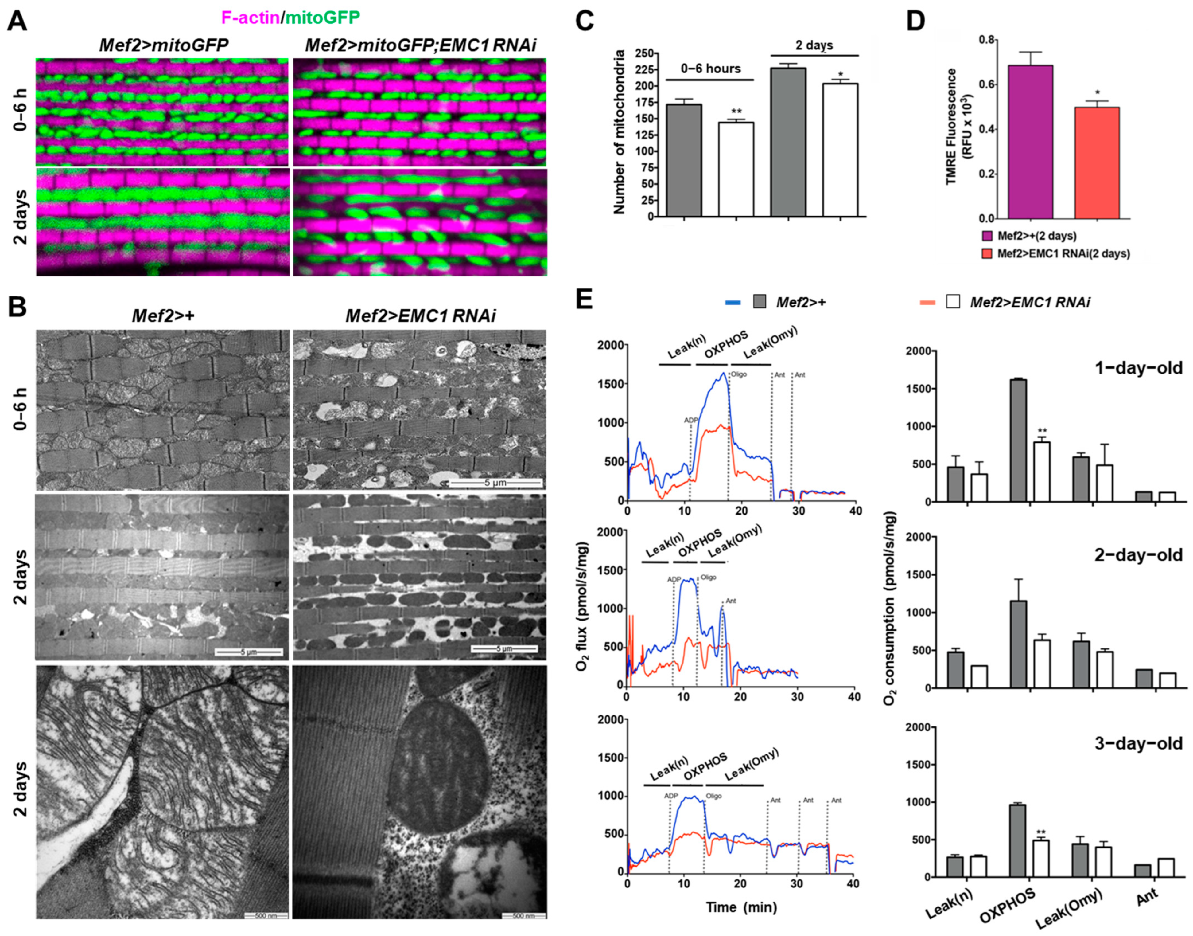 Biomolecules 14 01258 g004