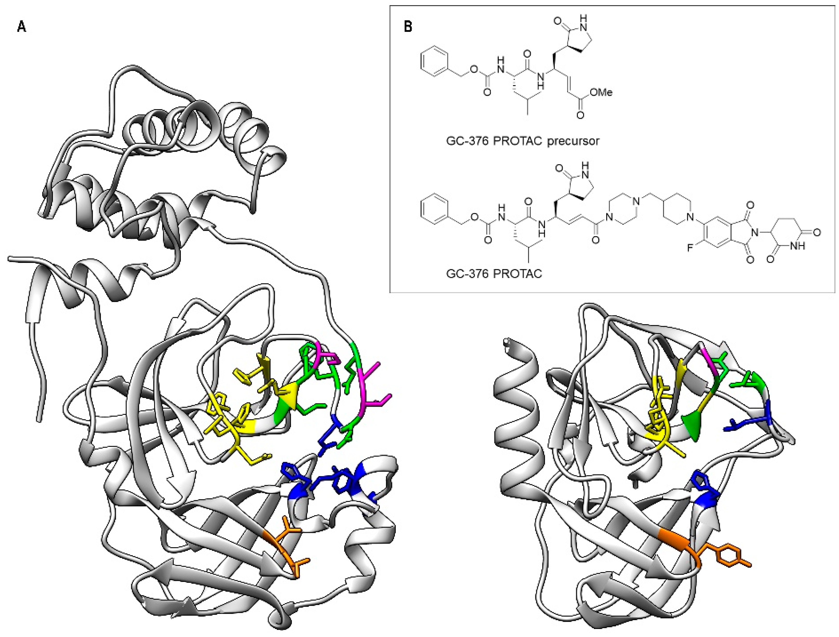 Biomolecules 14 01260 g001