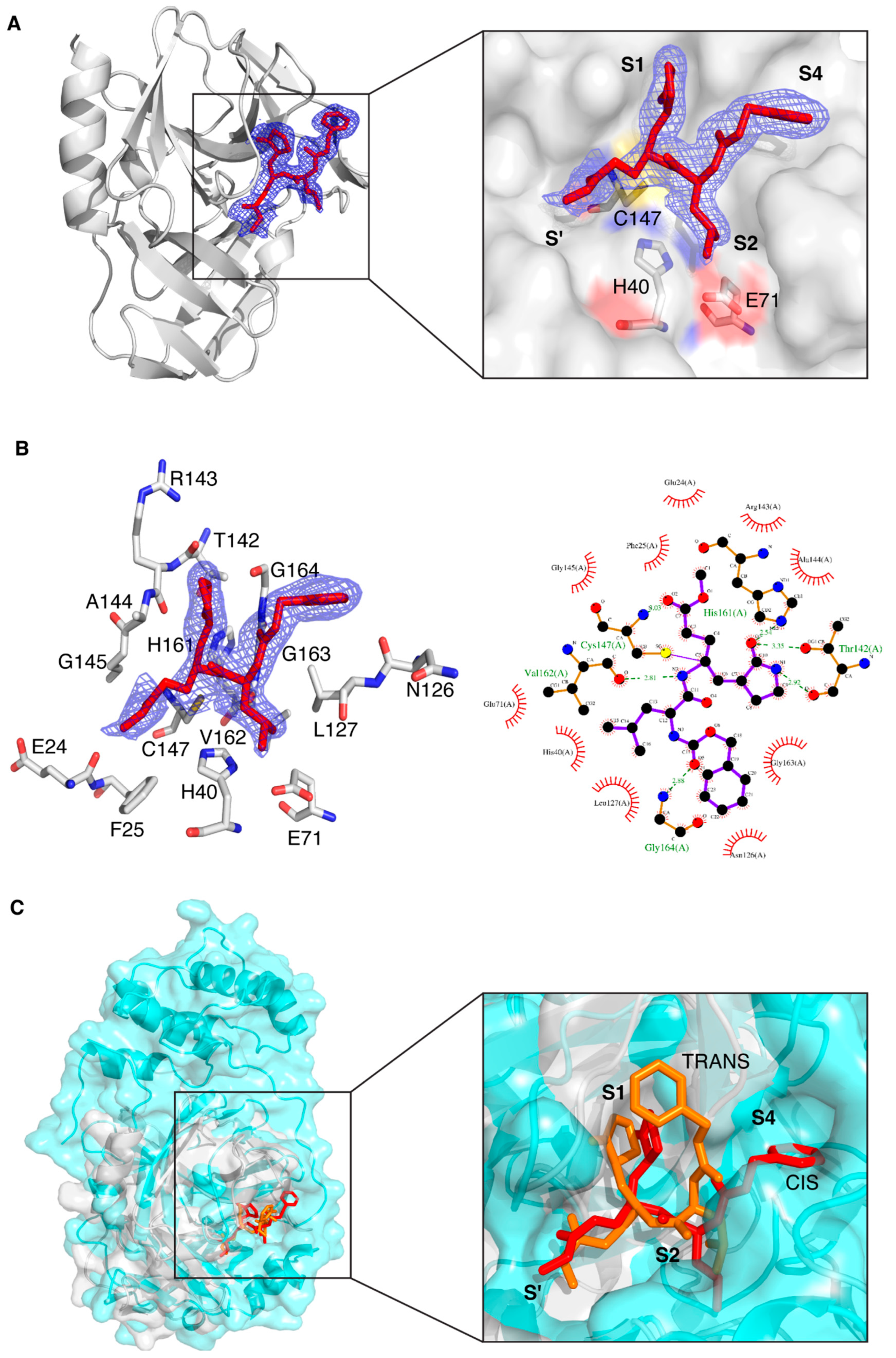 Biomolecules 14 01260 g002