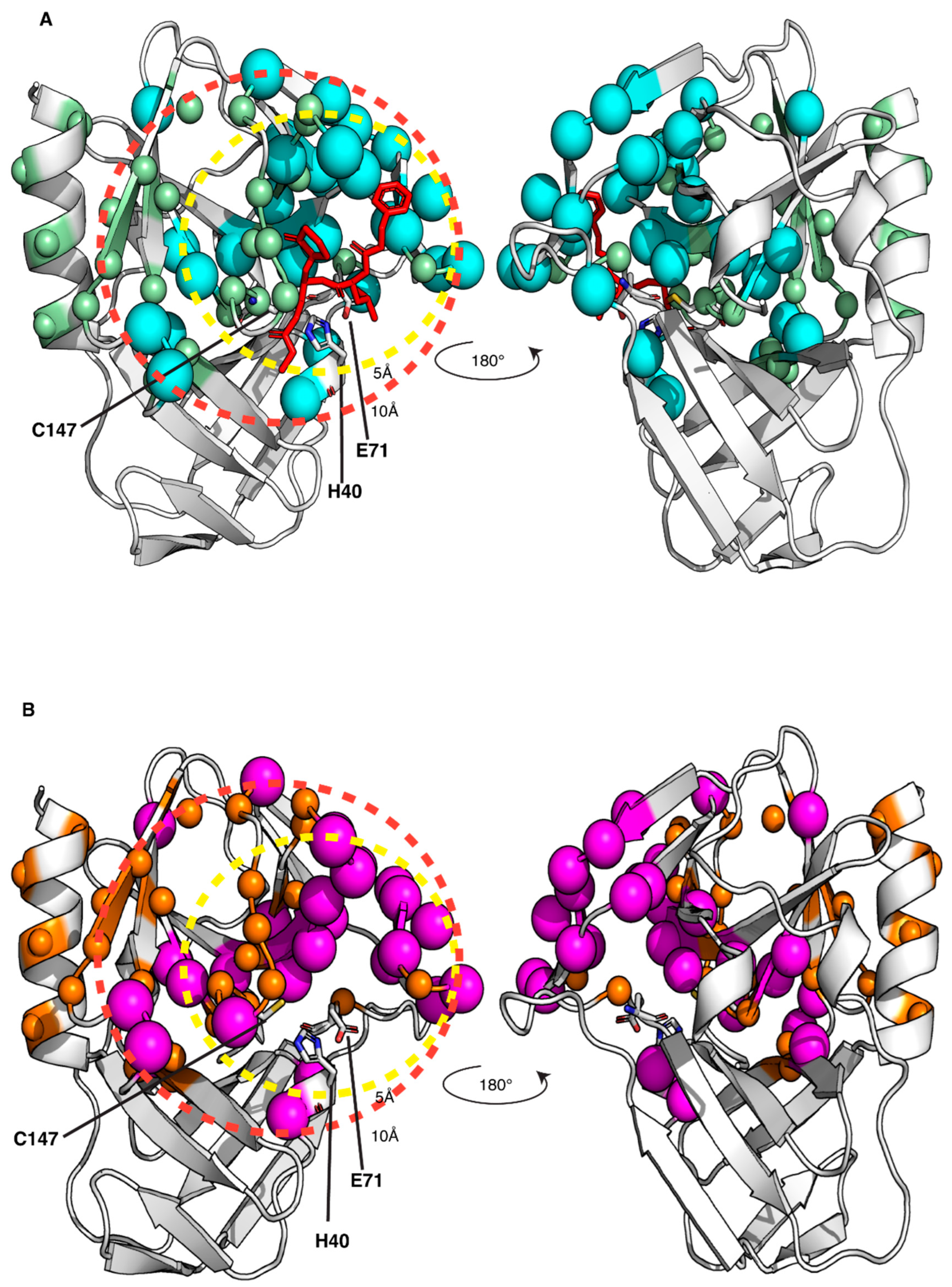 Biomolecules 14 01260 g005