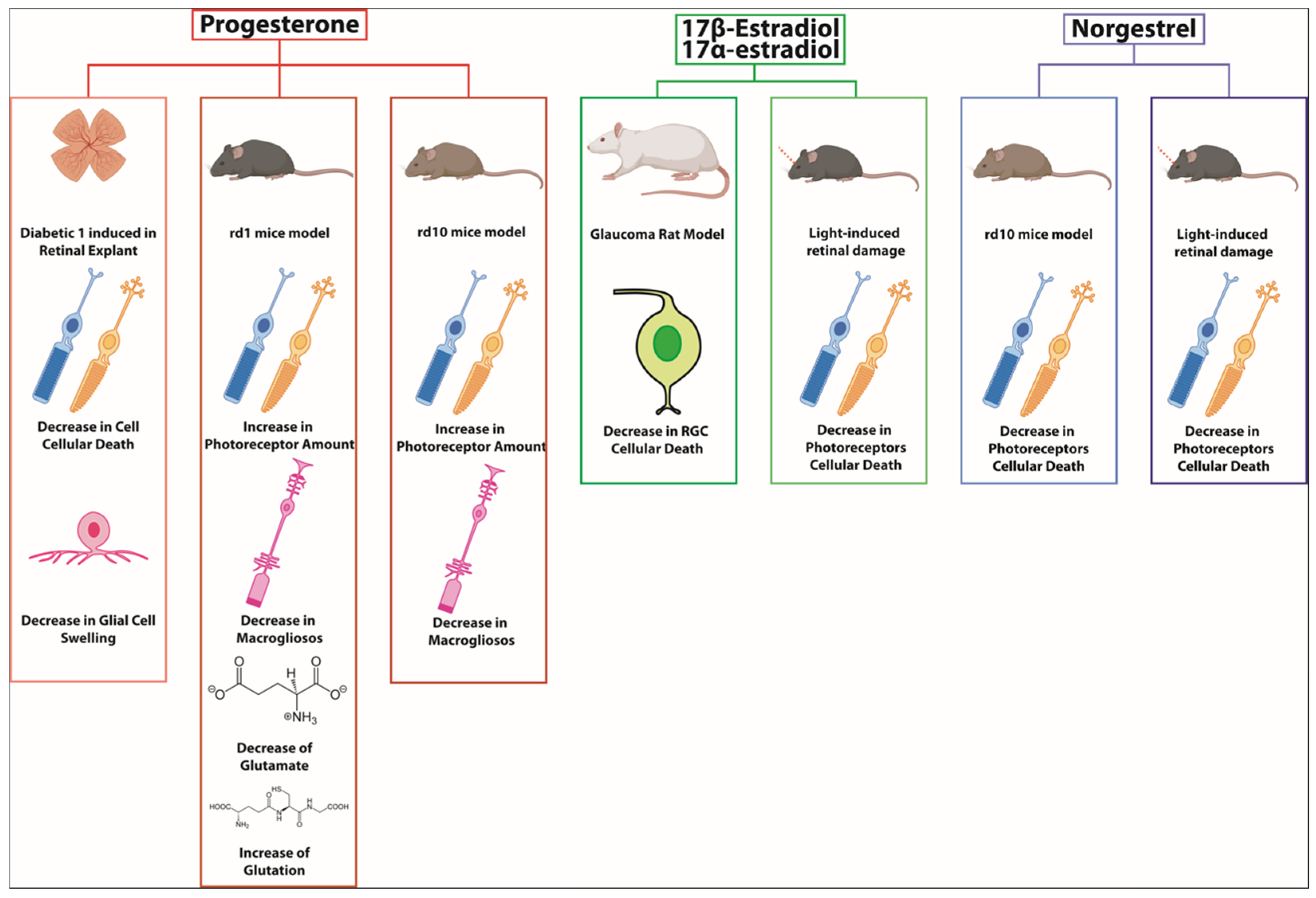 Biomolecules 14 01262 g002 Biomolecules 14 01262 g002