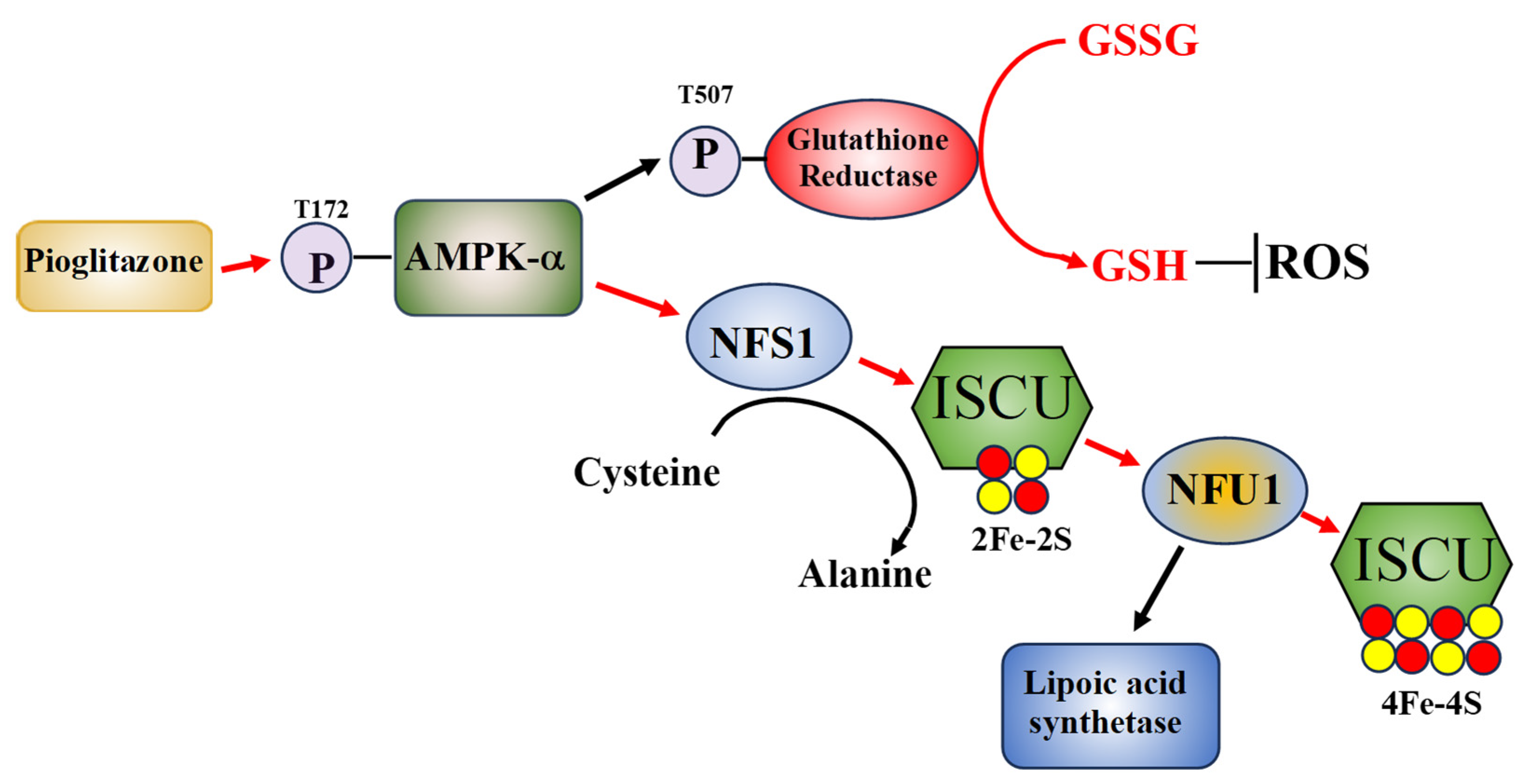 Biomolecules 14 01264 g001