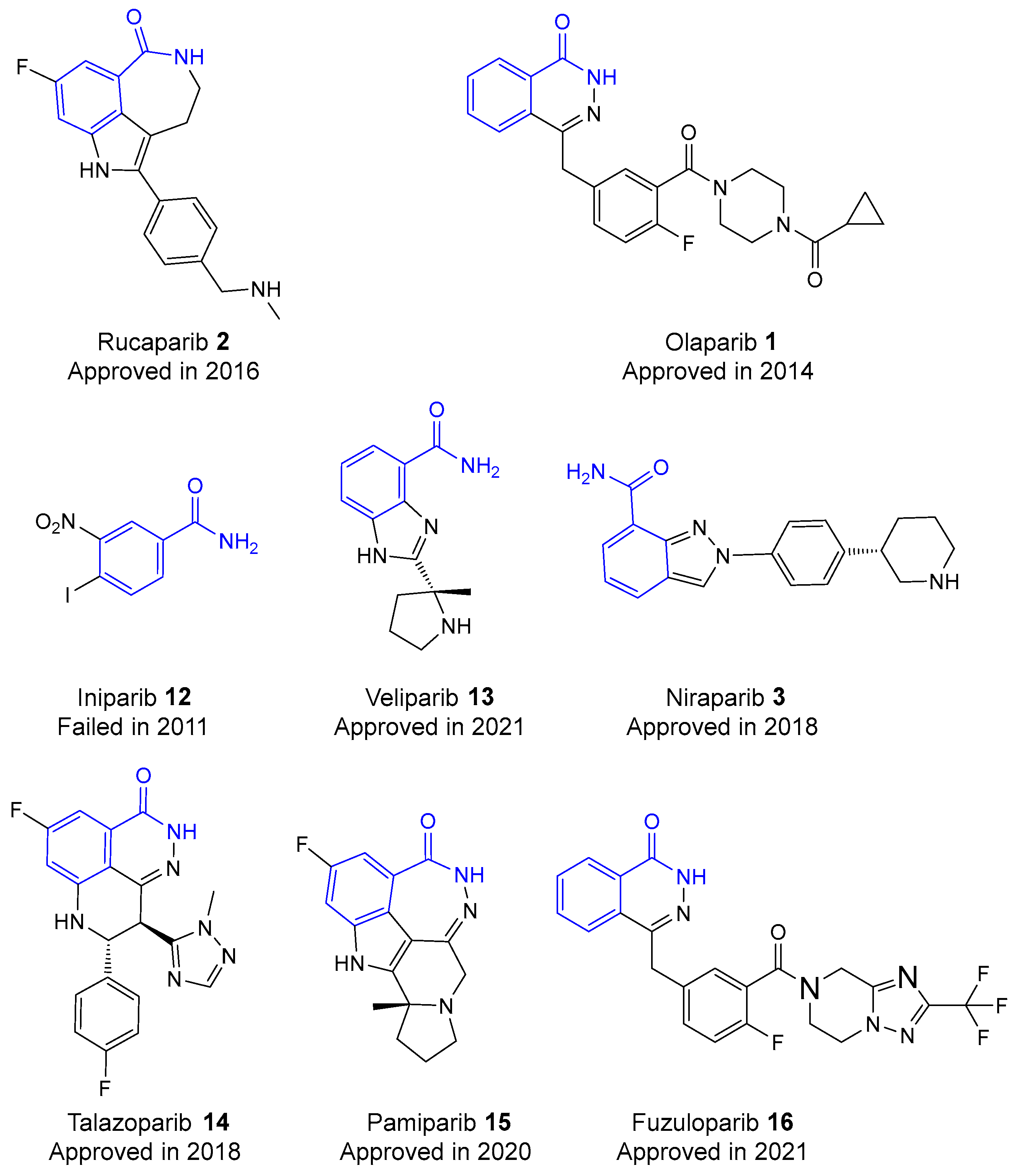 Biomolecules 14 01269 g005