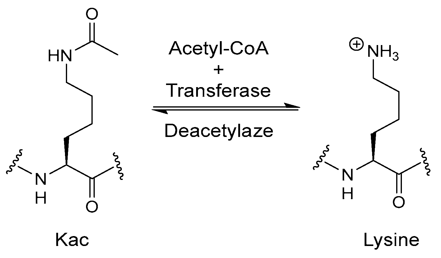 Biomolecules 14 01269 g013