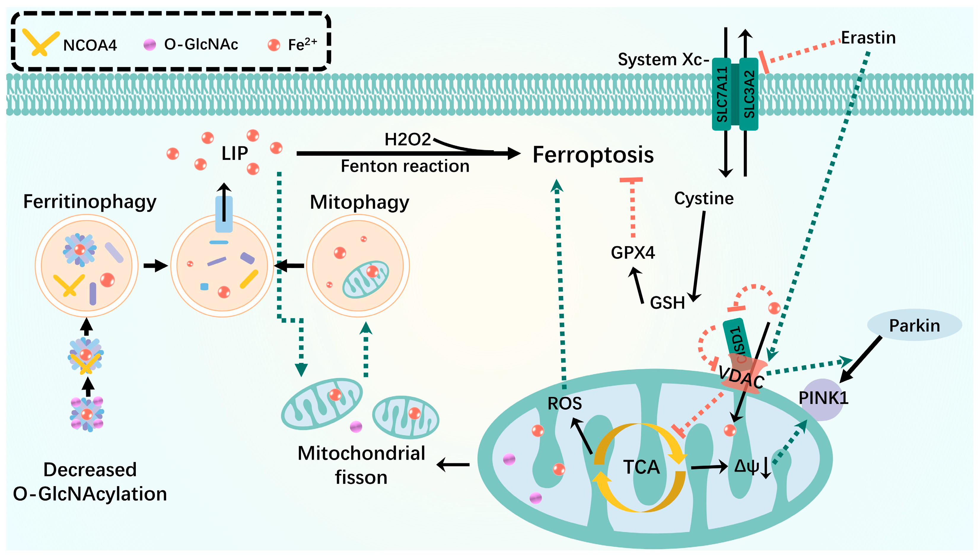 Biomolecules 14 01270 g003