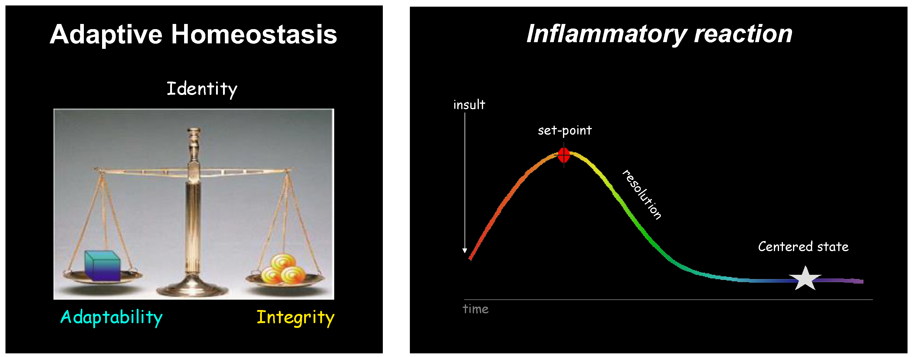 Biomolecules 14 01271 g001