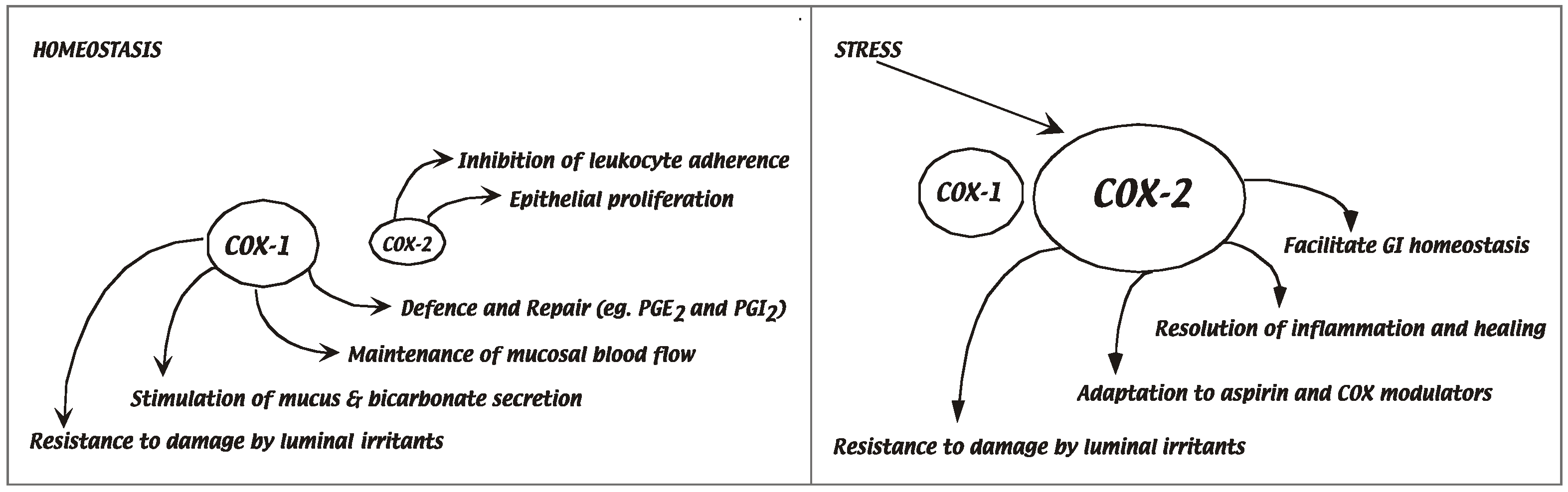 Biomolecules 14 01271 g006