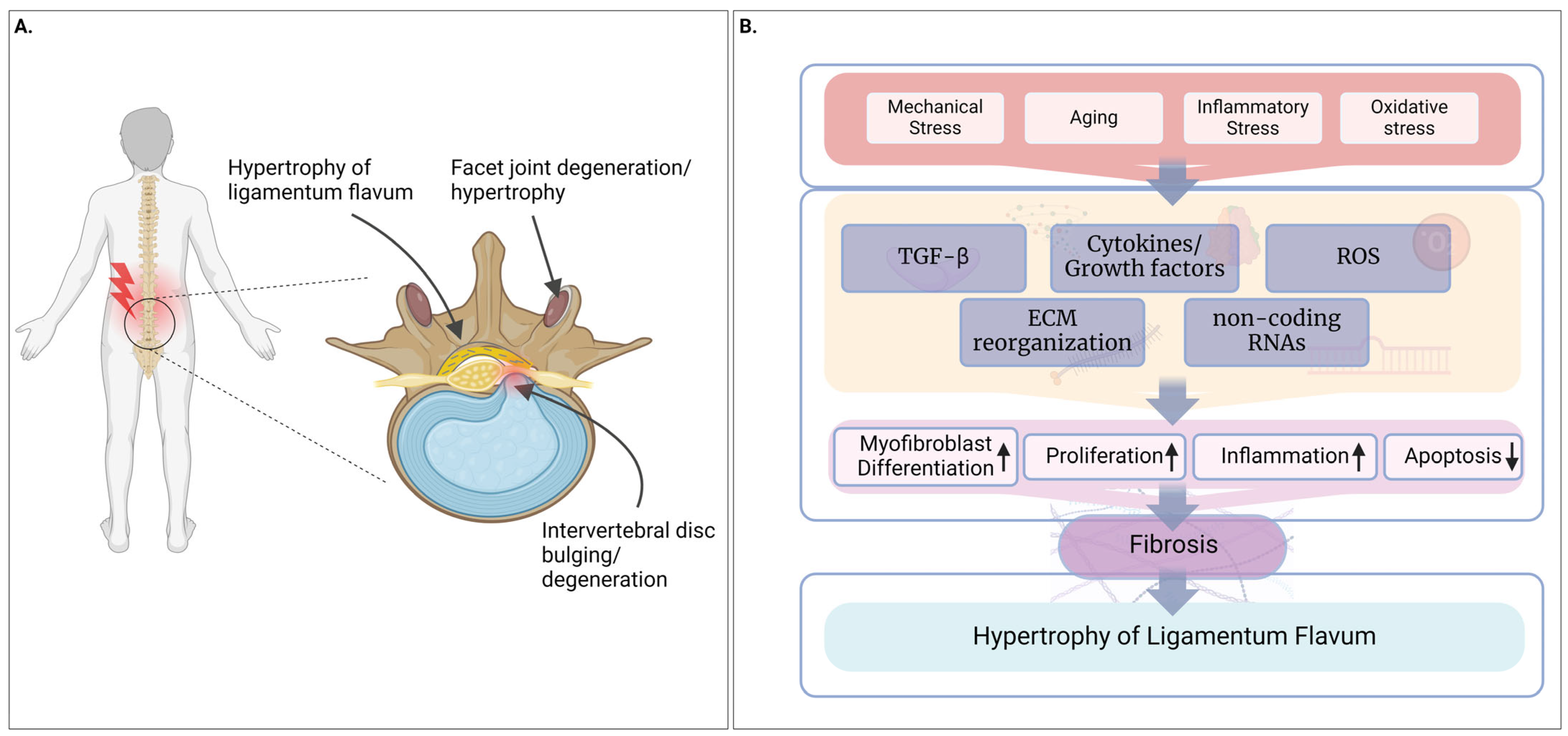 Biomolecules 14 01277 g001