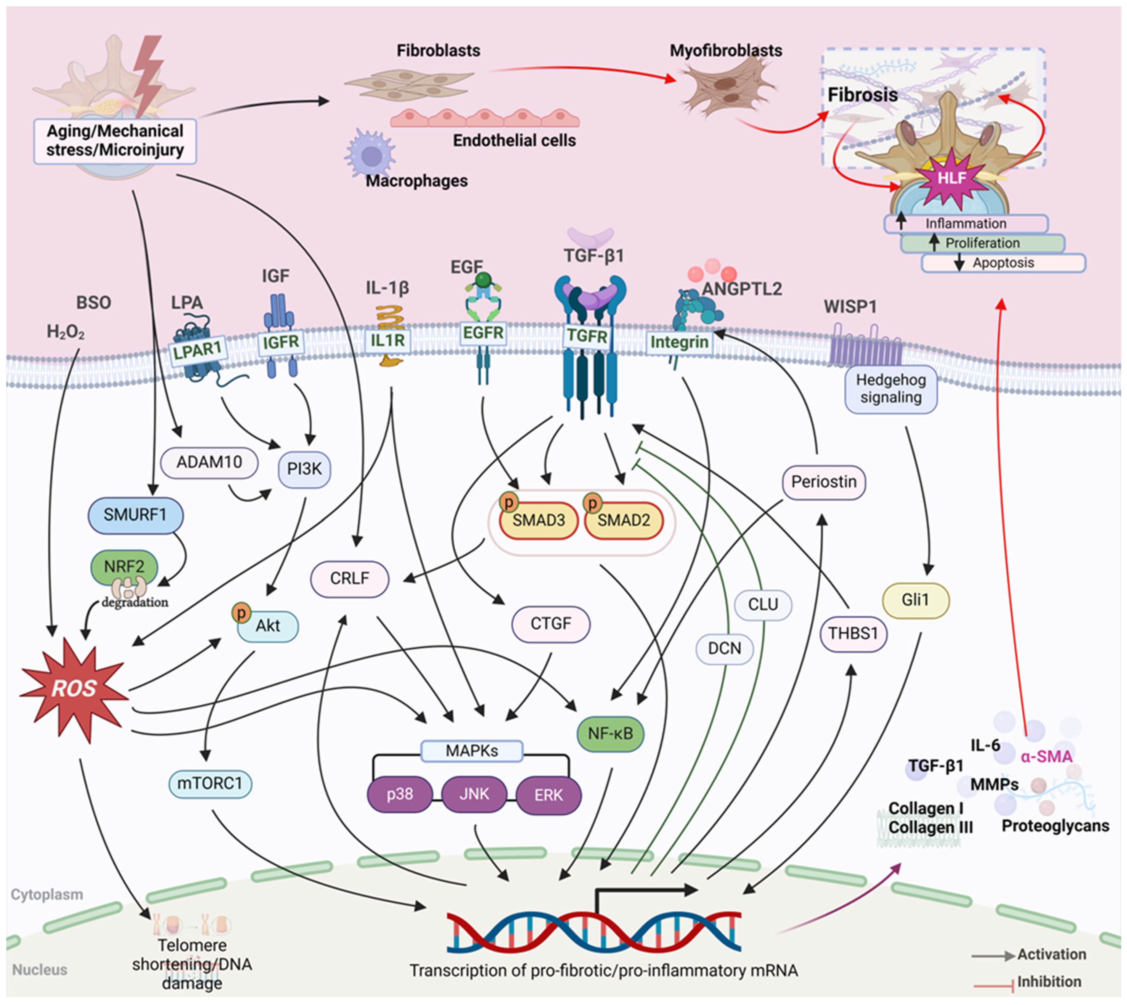 Biomolecules 14 01277 g002