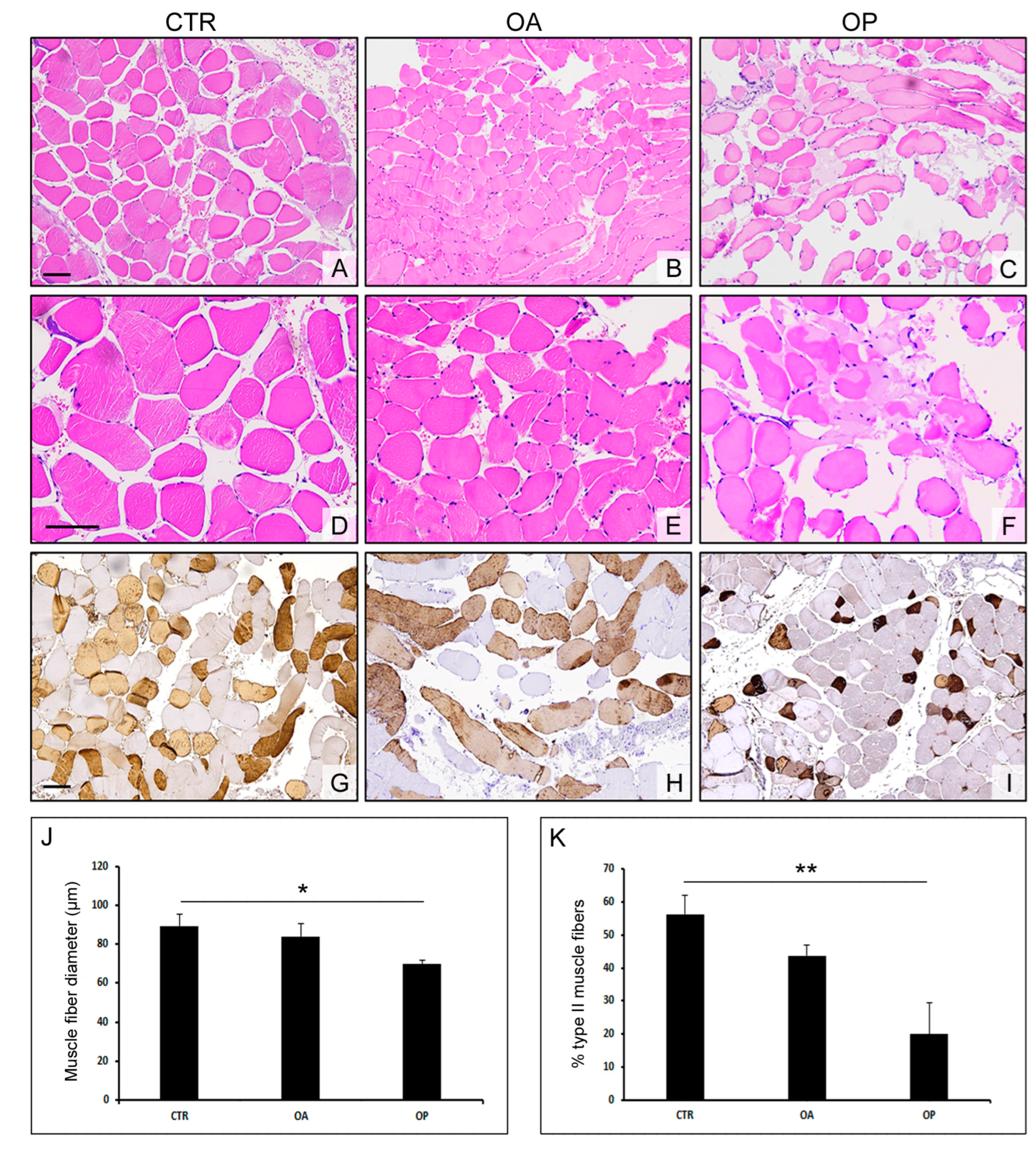 Biomolecules 14 01289 g001 Biomolecules 14 01289 g001