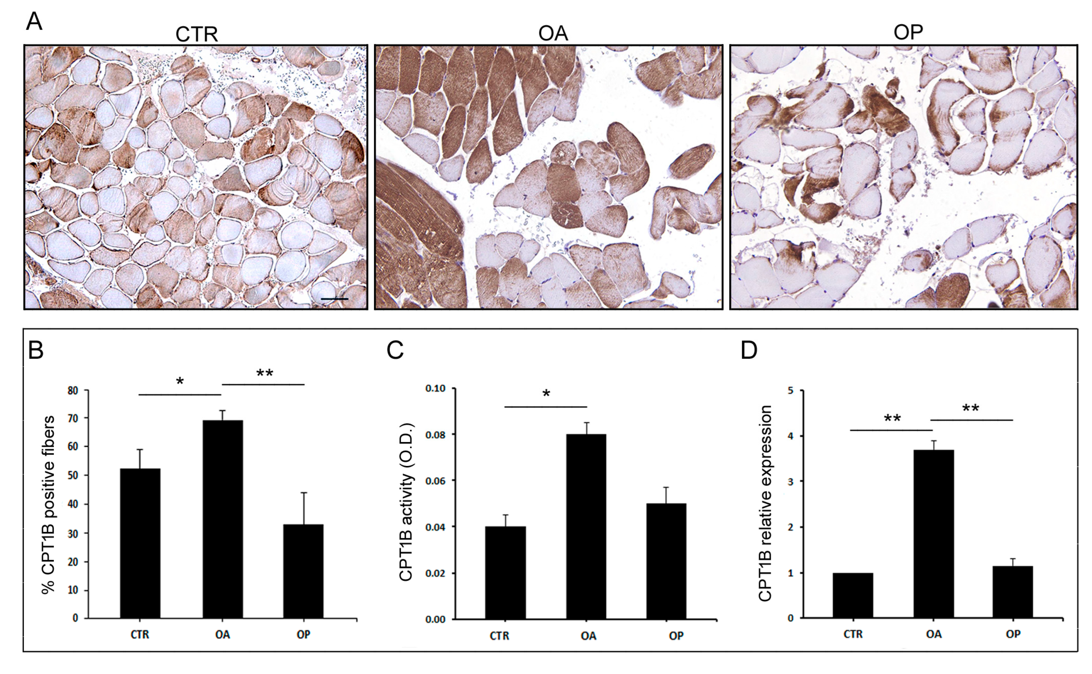 Biomolecules 14 01289 g002 Biomolecules 14 01289 g002
