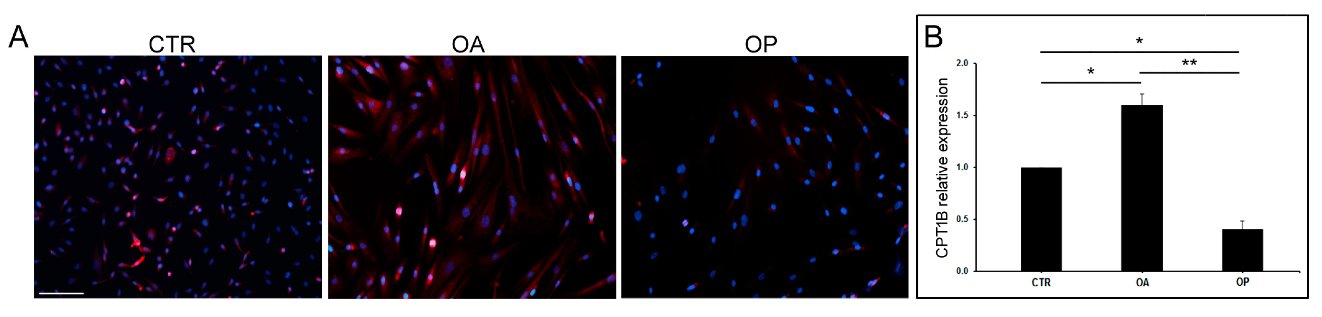 Biomolecules 14 01289 g003 Biomolecules 14 01289 g003