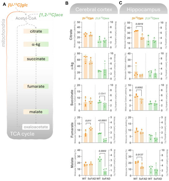 Biomolecules 14 01294 g003