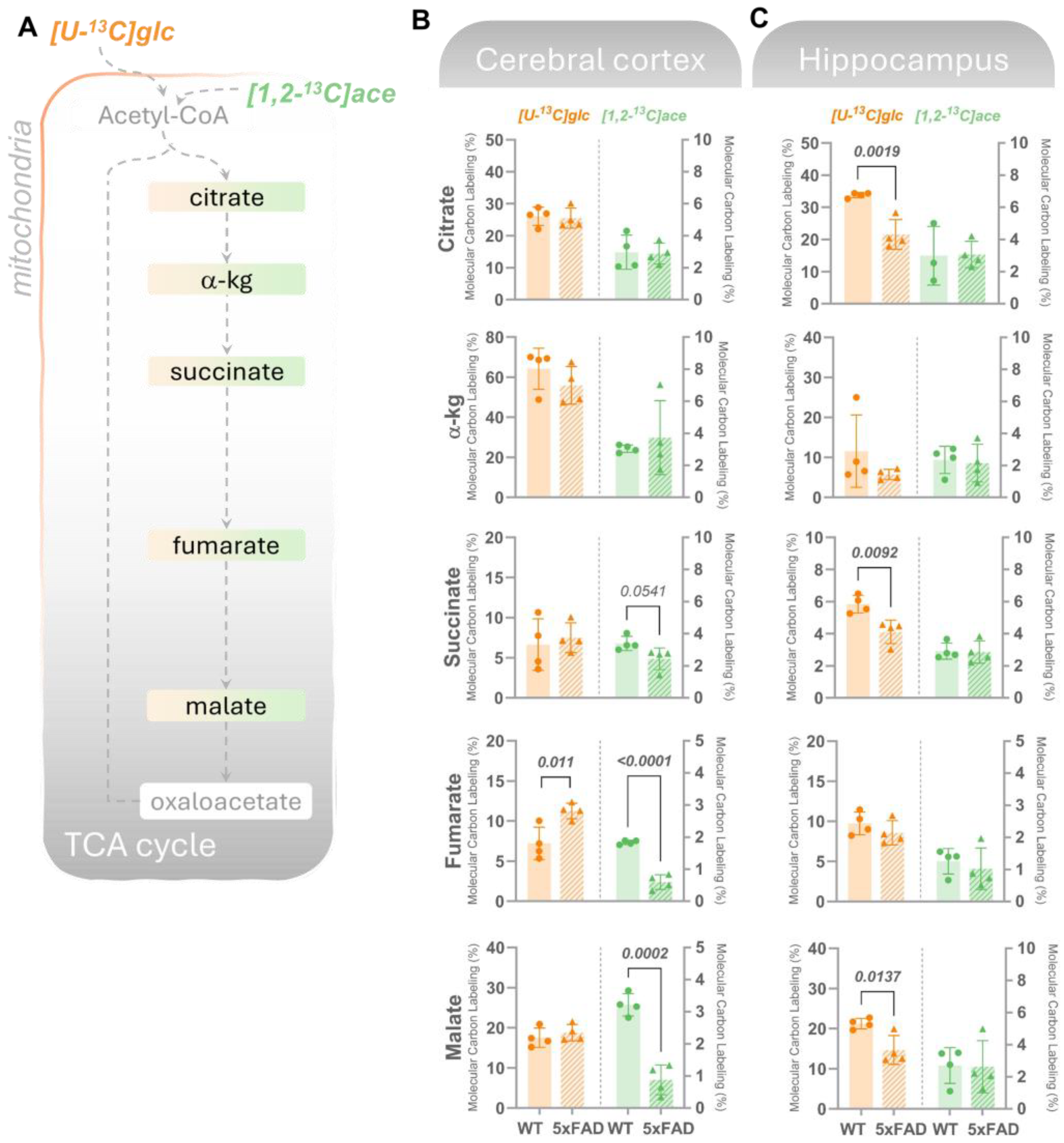 Biomolecules 14 01294 g003 Biomolecules 14 01294 g003