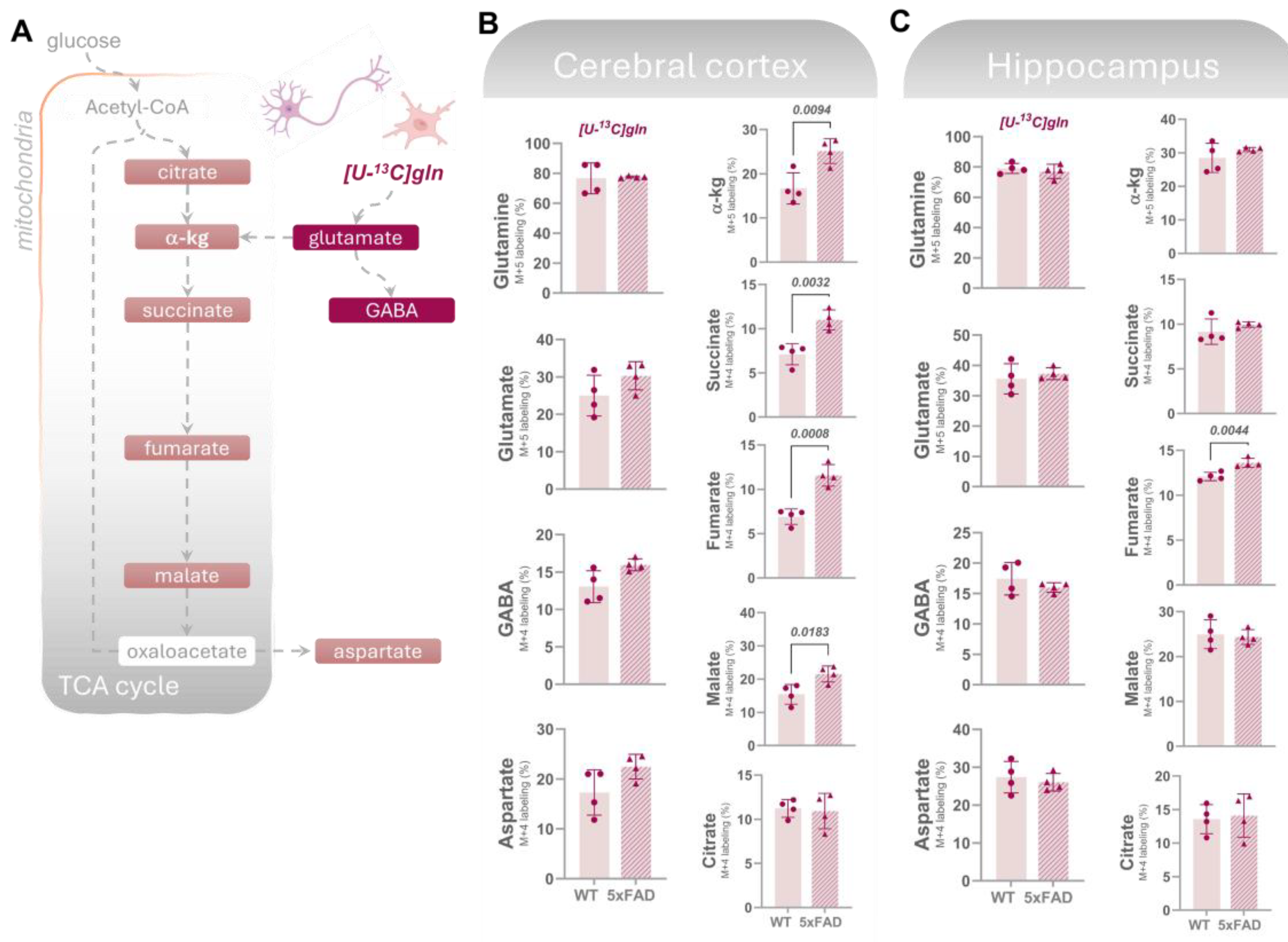 Biomolecules 14 01294 g005 Biomolecules 14 01294 g005