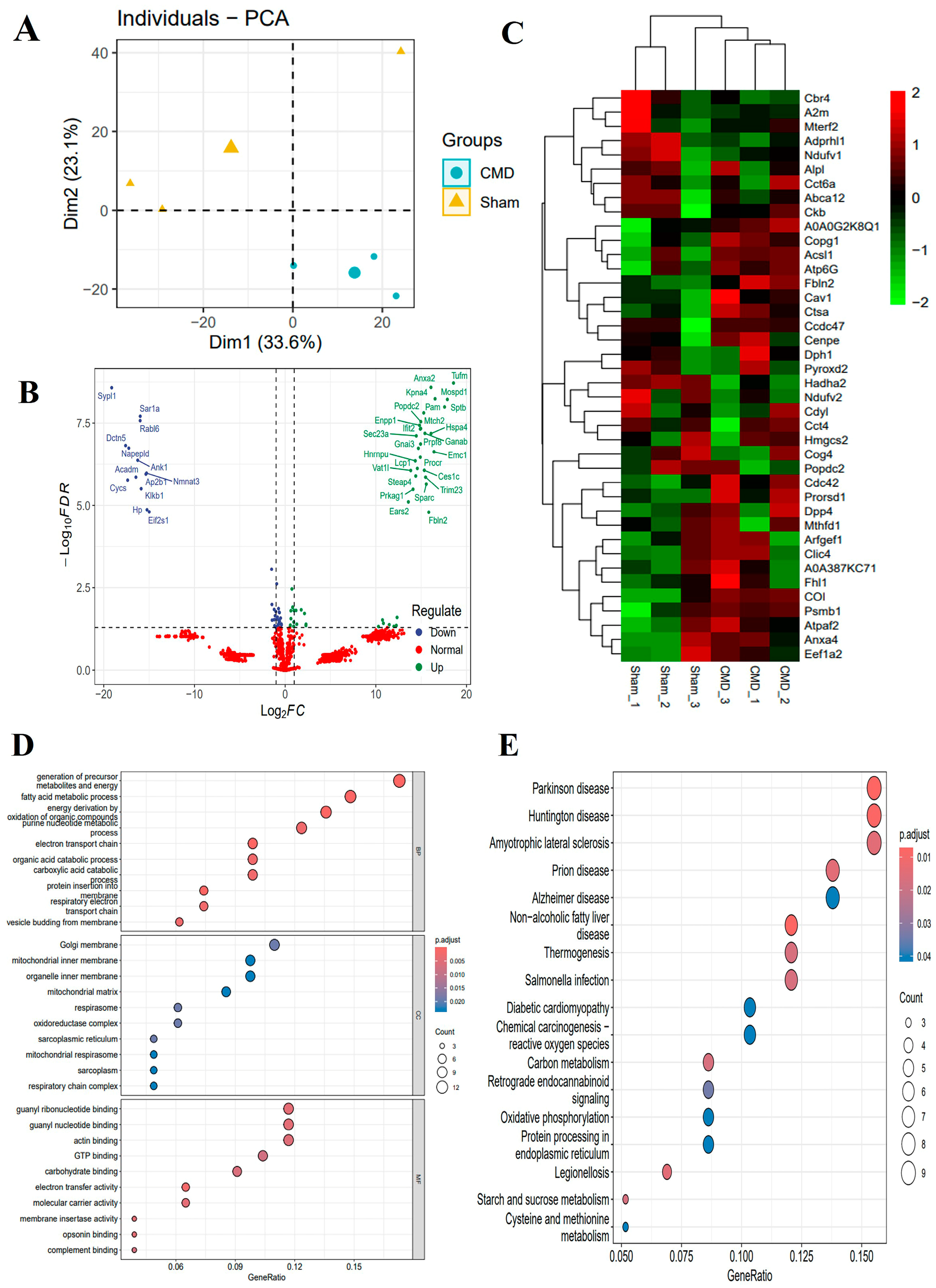 Biomolecules 14 01305 g004