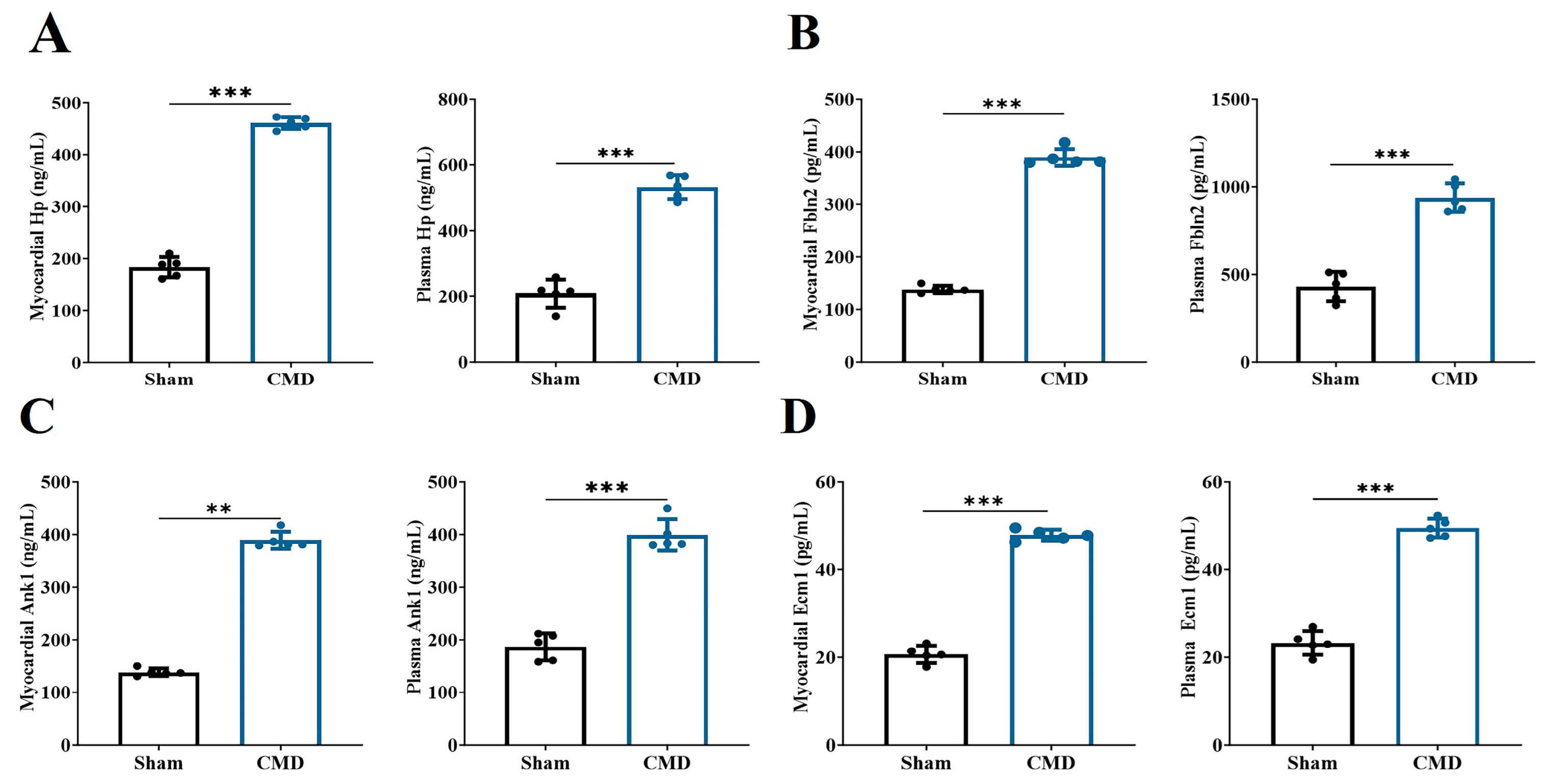 Biomolecules 14 01305 g007