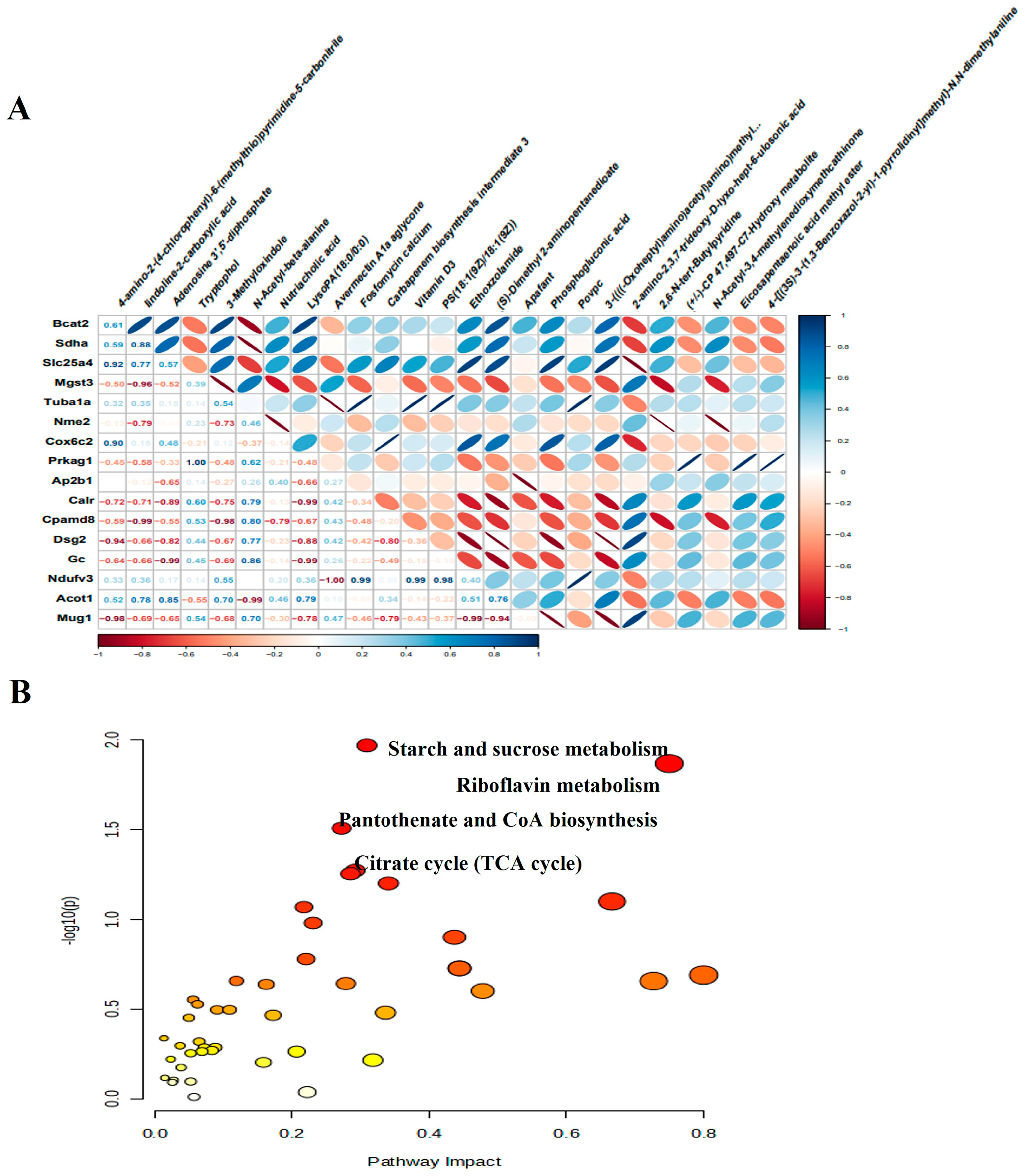 Biomolecules 14 01305 g009
