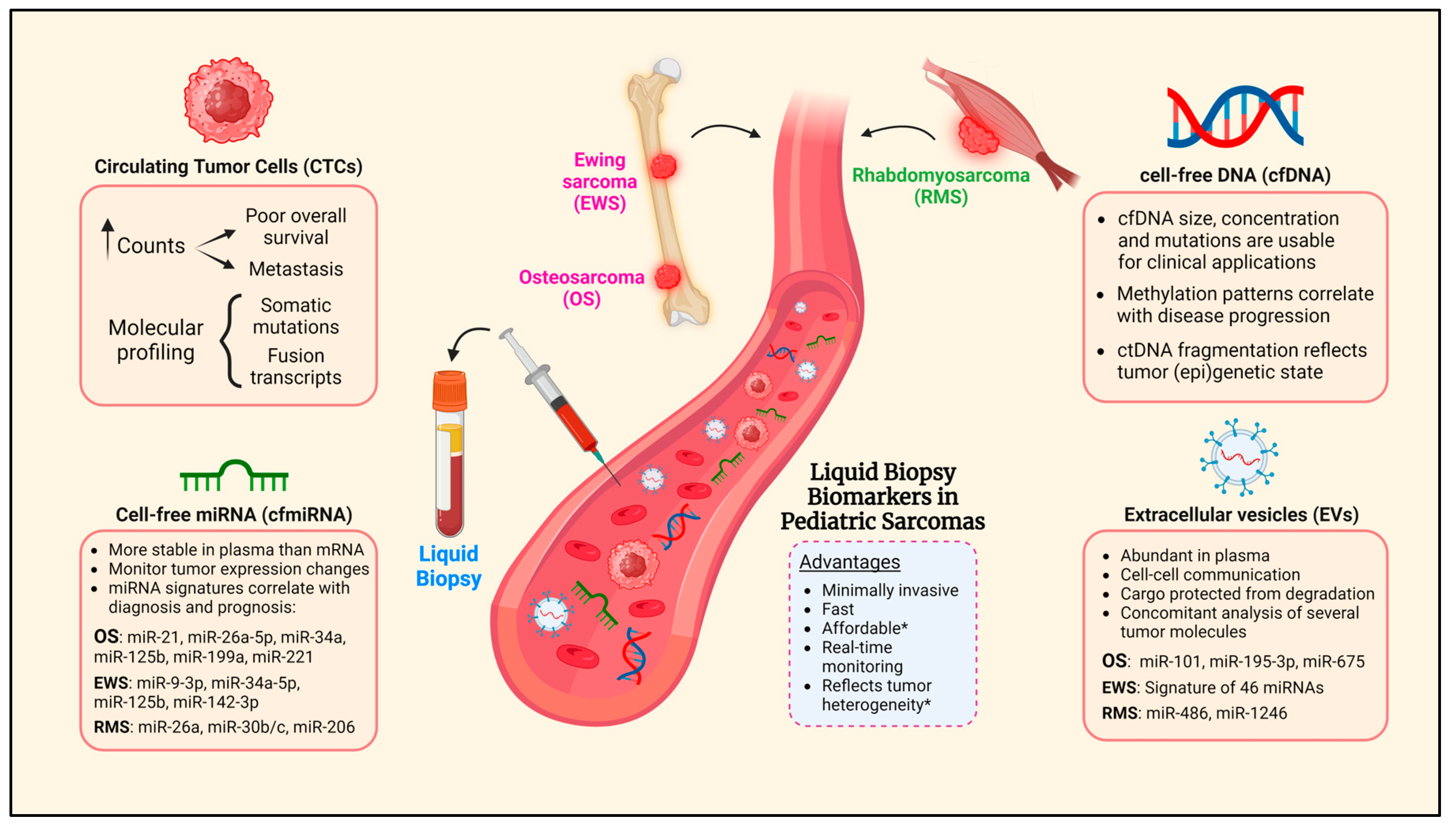 Biomolecules 14 01306 g001